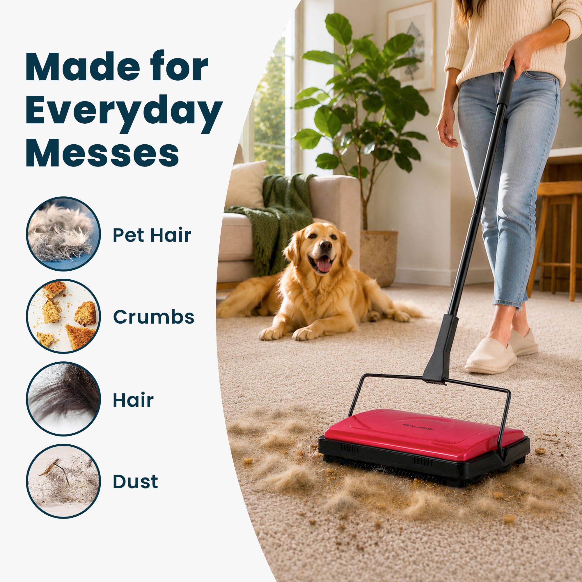 Manual Carpet Sweeper