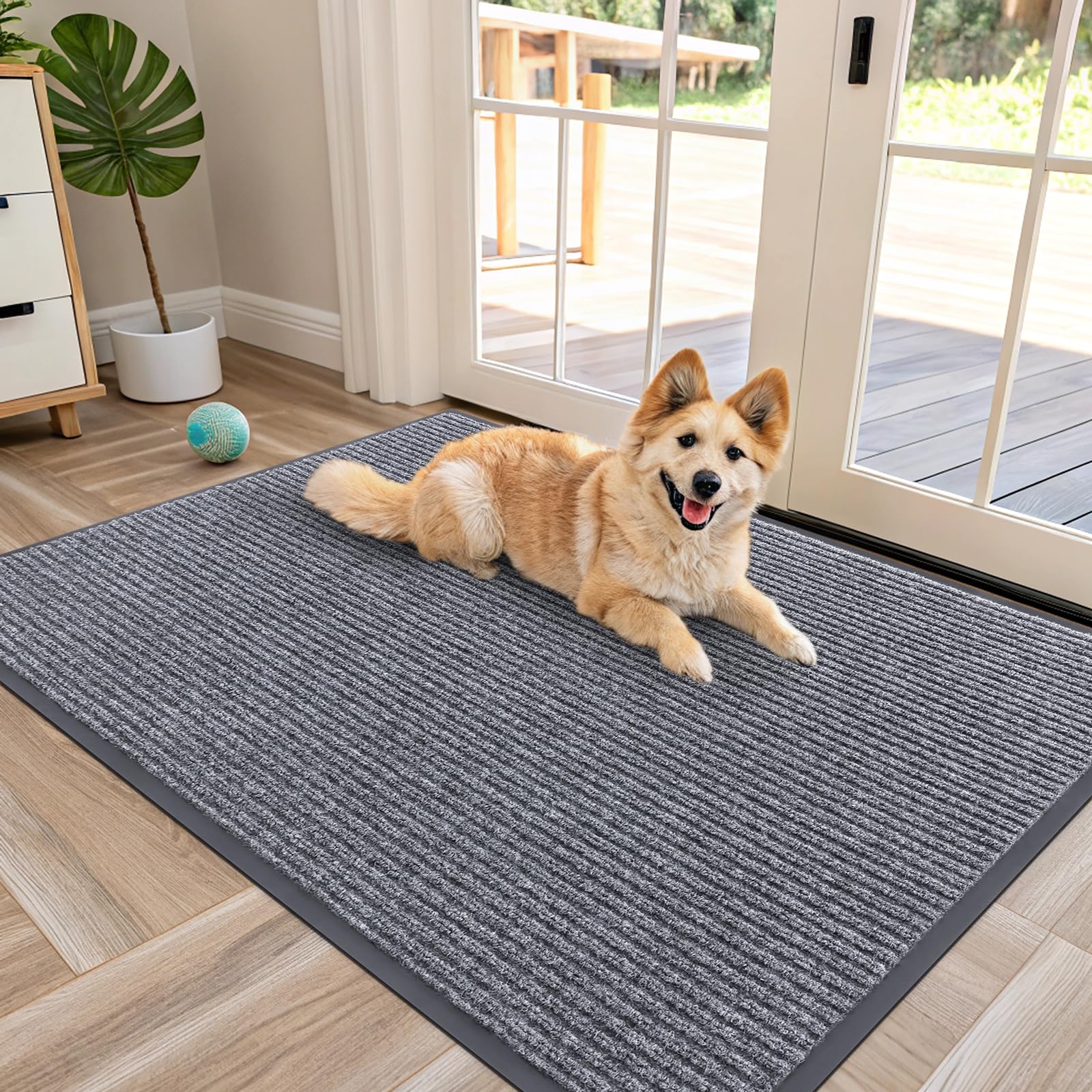 Front Door Mat 47x30