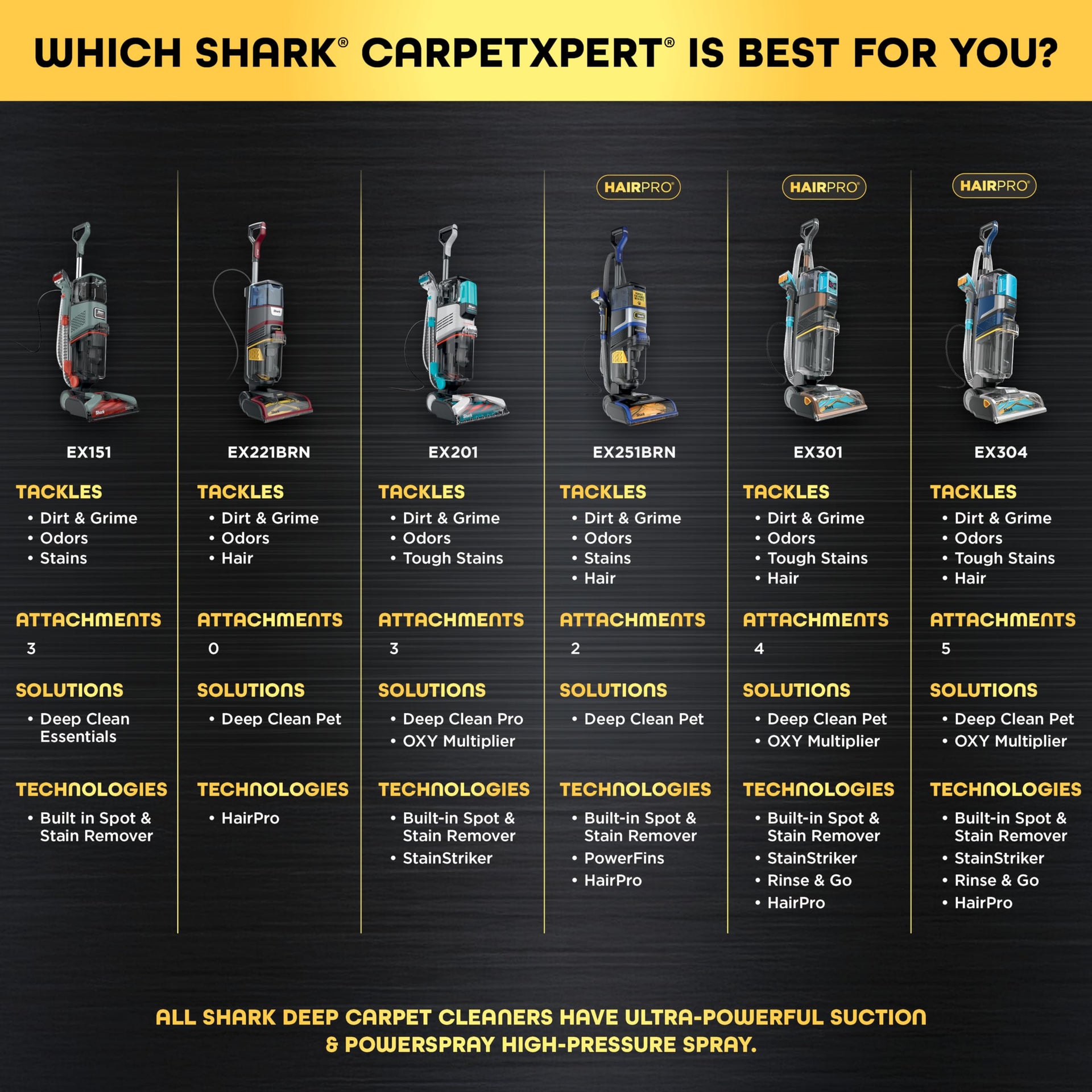 CarpetXpert HairPro Carpet & Built