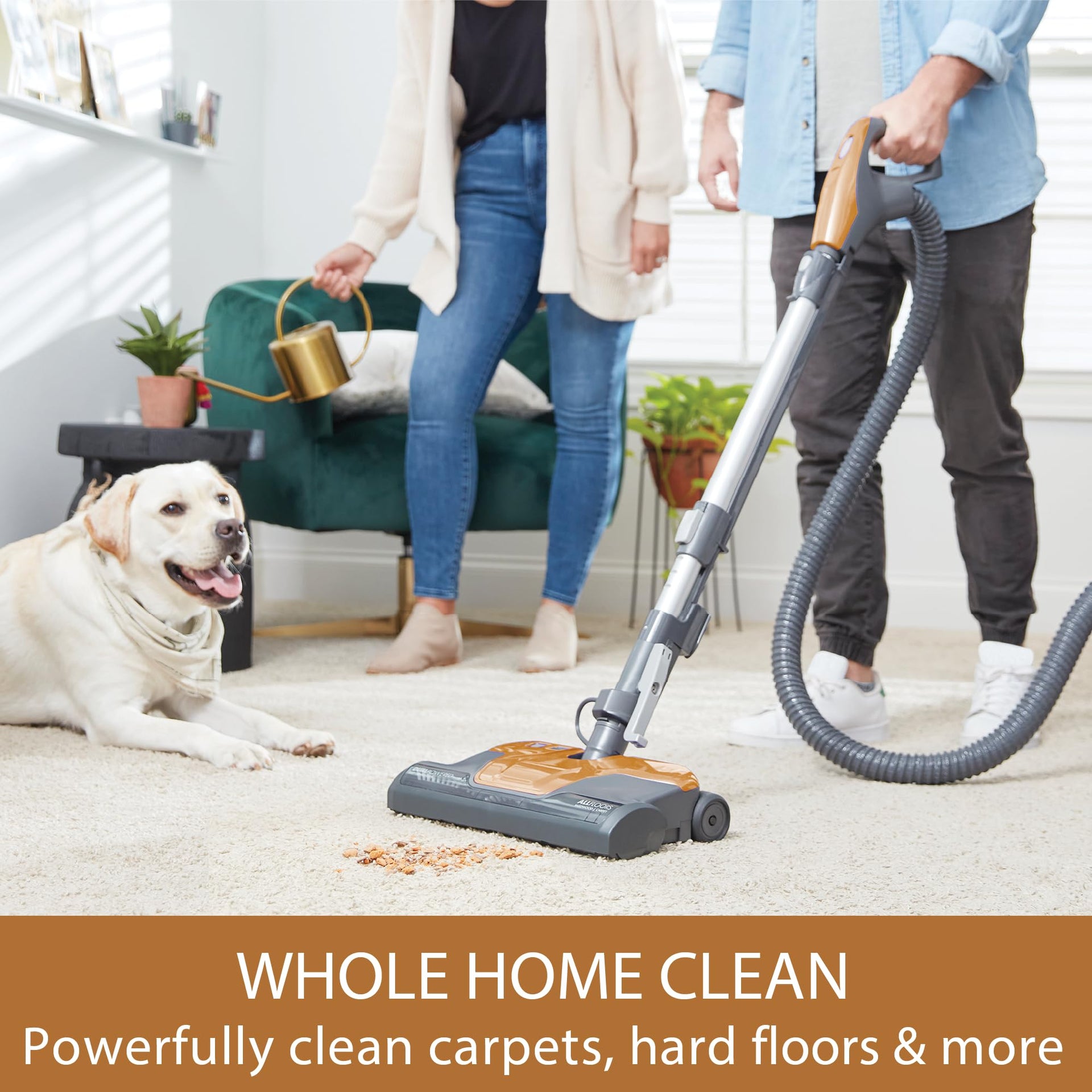 BC4040 400 Series Bagged Canister Vacuum Cleaner