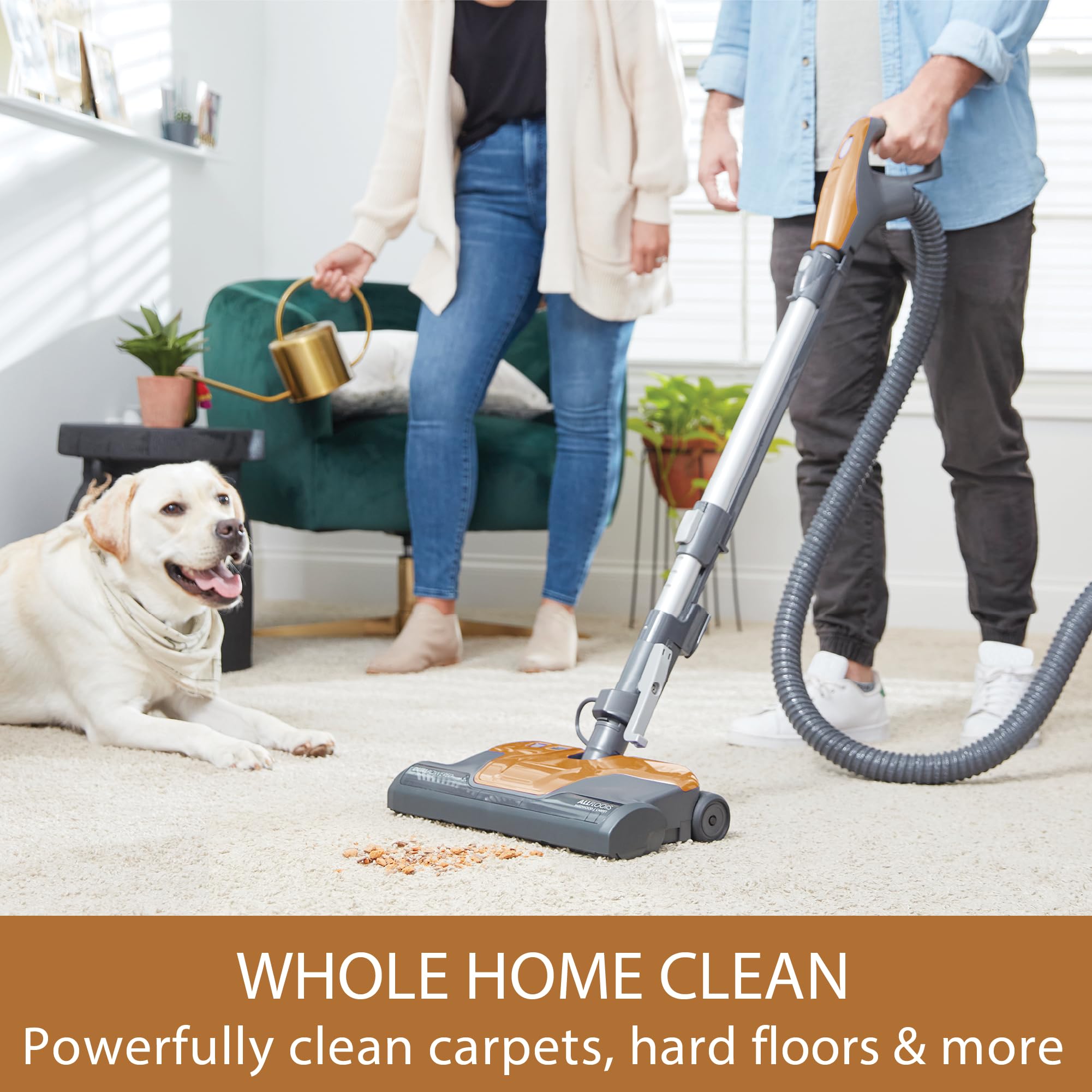 BC4040 400 Series Bagged Canister Vacuum Cleaner