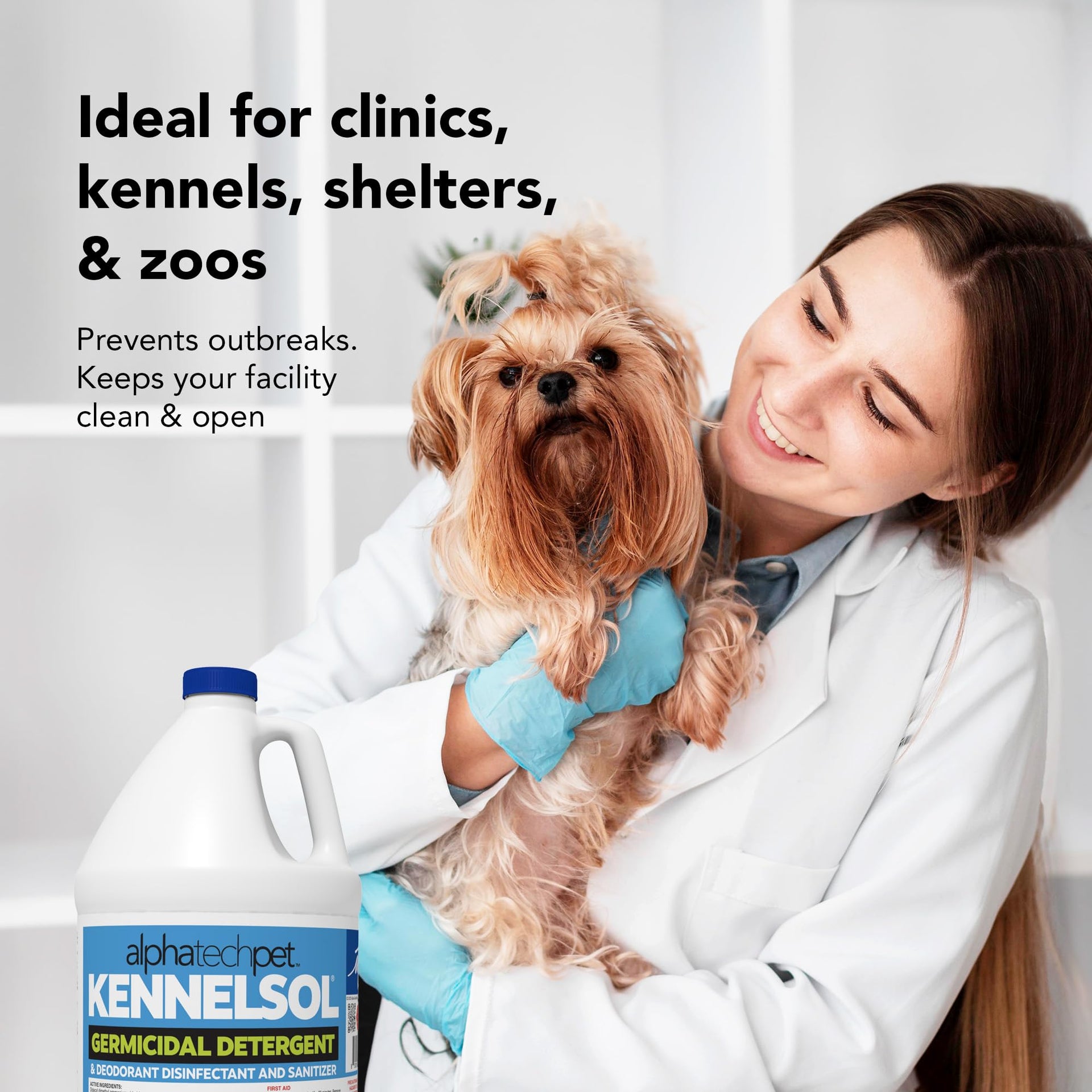 KennelSol Disinfectant & Cleaner for Kennels (512 Fl Oz) - ModHome Supplies