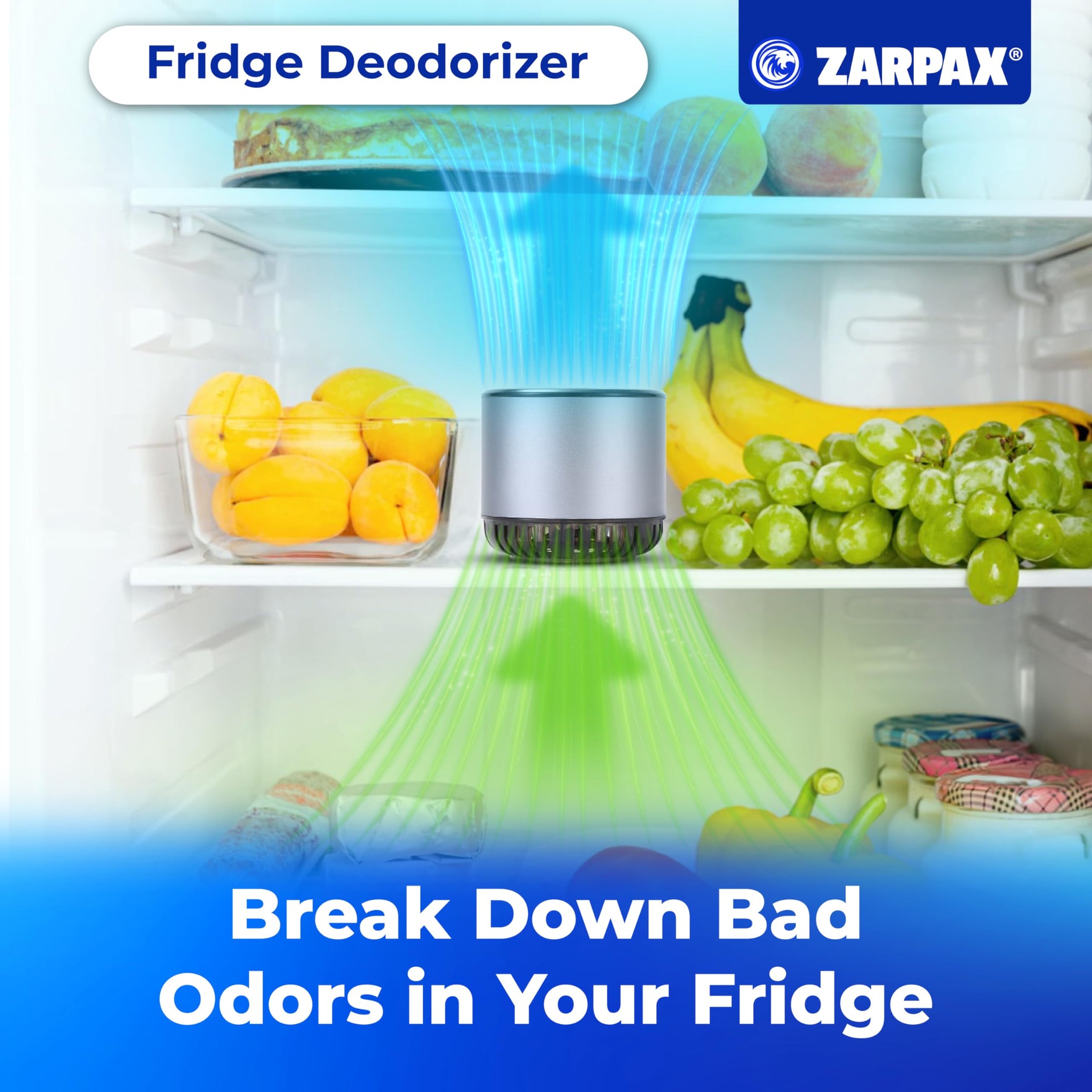 Refrigerator Deodorizer