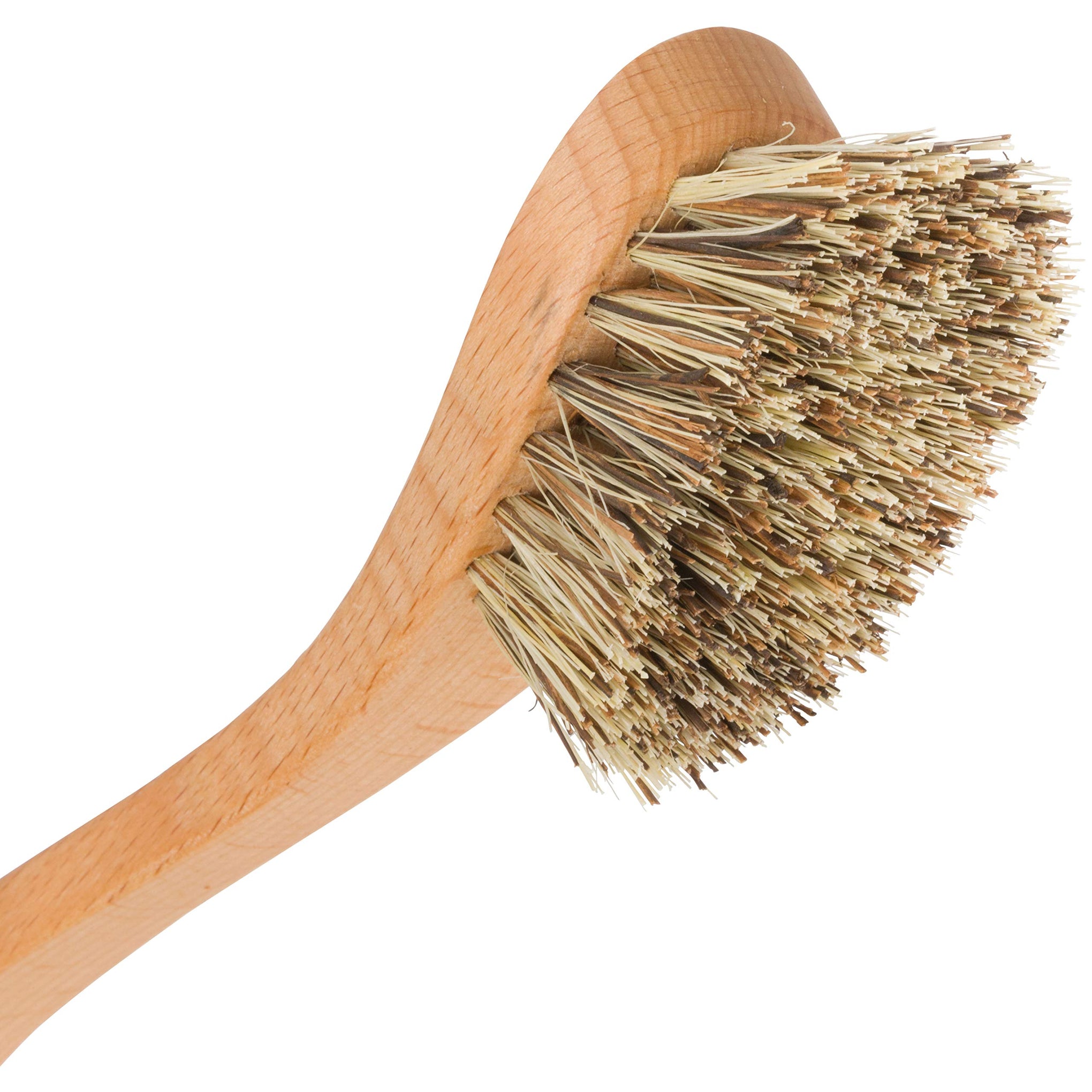 Curved Dish Brush (2 Count)