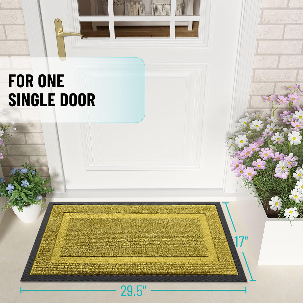 Front Door Mat Outside 29.5x17