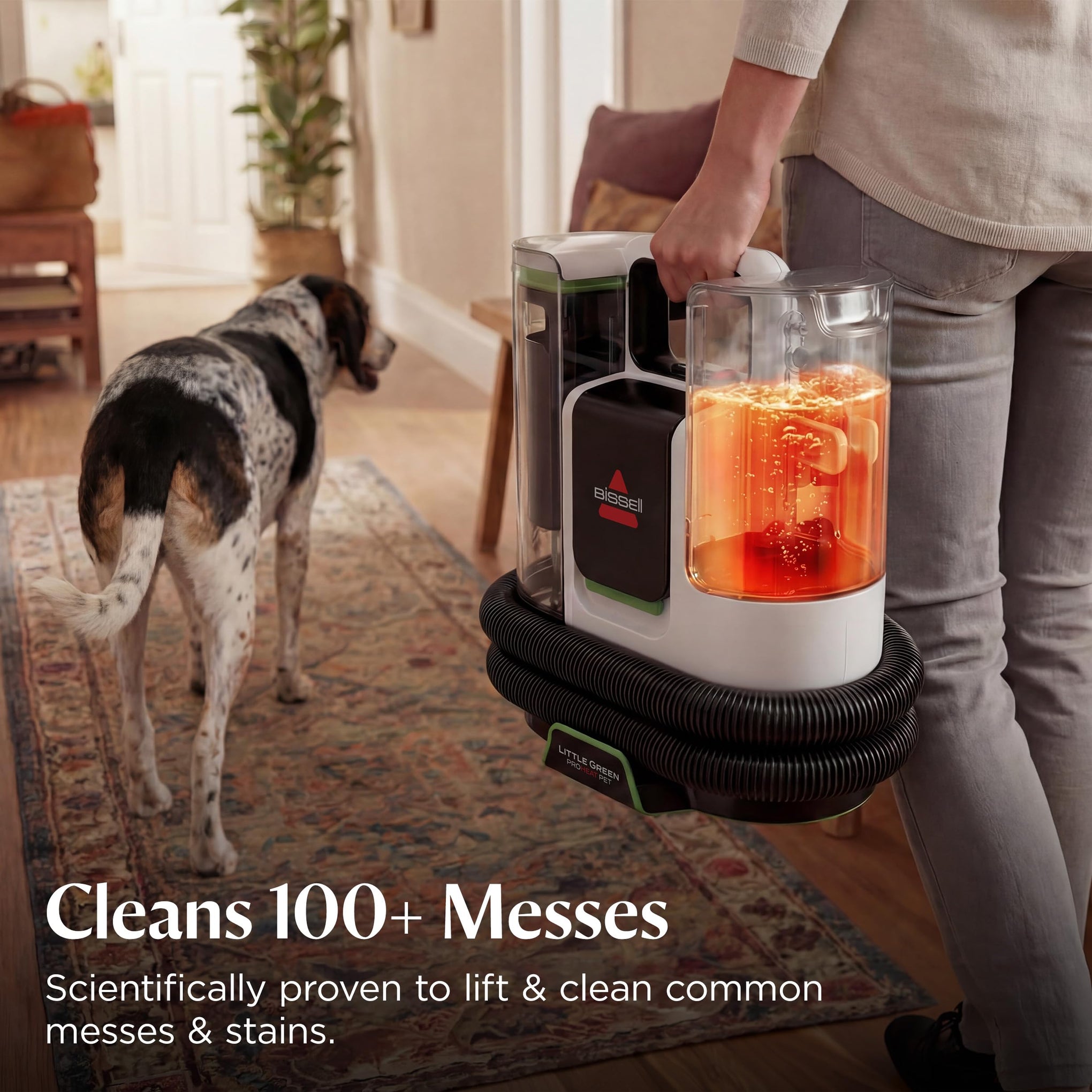 Little Green ProHeat Pet Portable Deep Cleaner