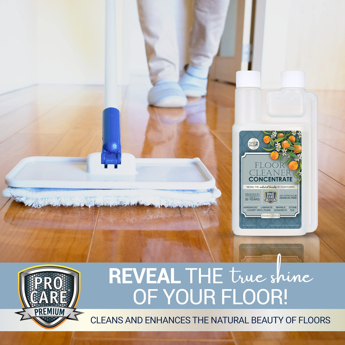 Citrus Floor Cleaner Concentrate (16 Fl Oz)