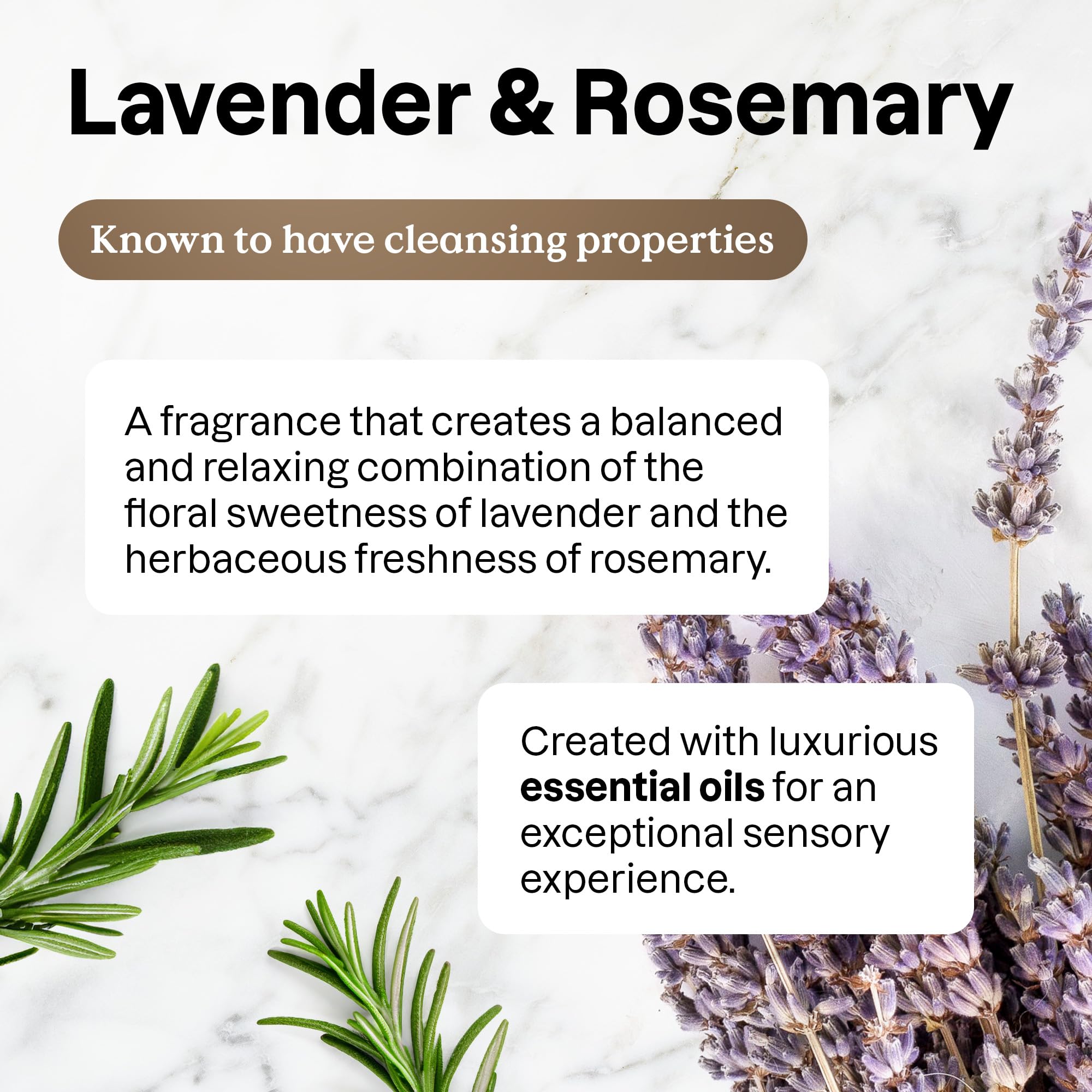 All Purpose Cleaner Spray (26 Fl Oz)