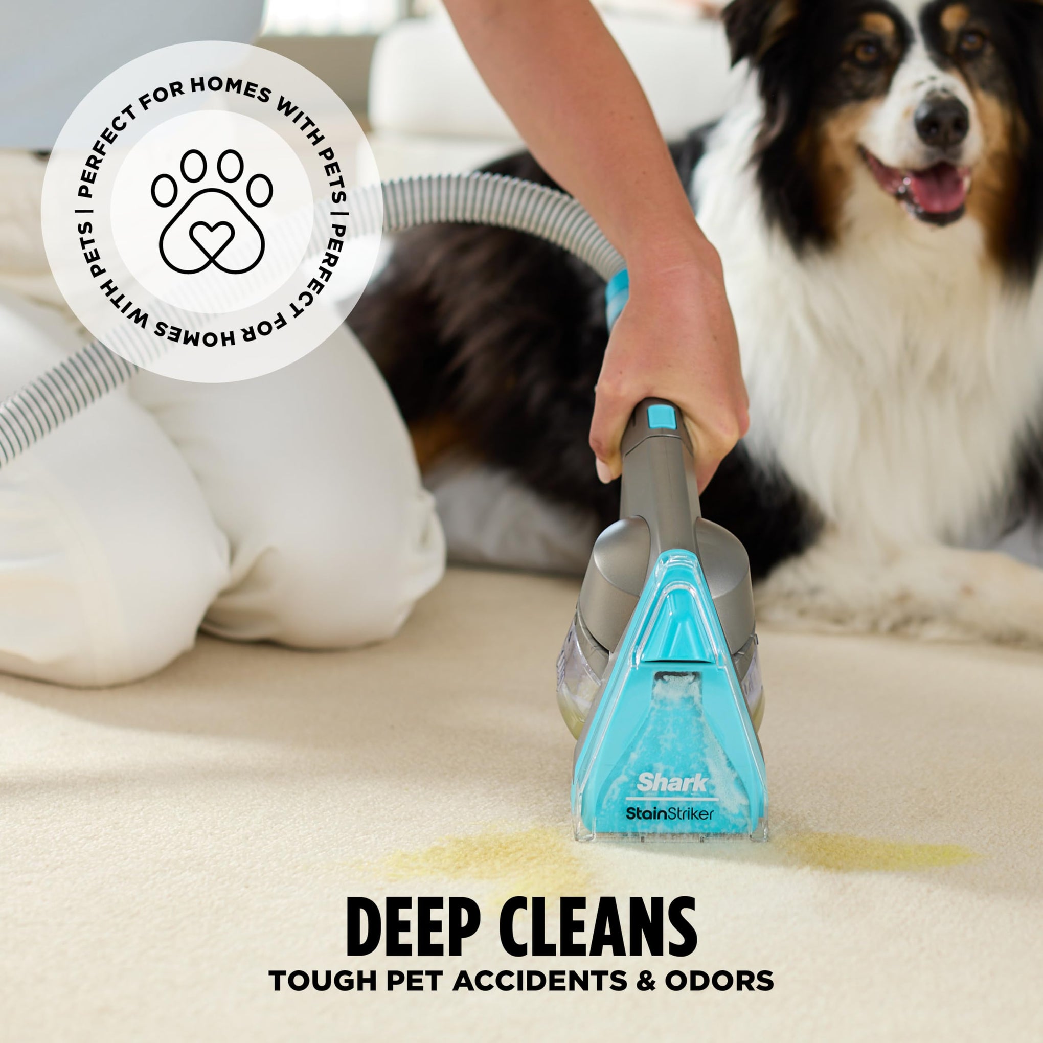 CarpetXpert HairPro StainStriker Carpet & Stain Cleaner