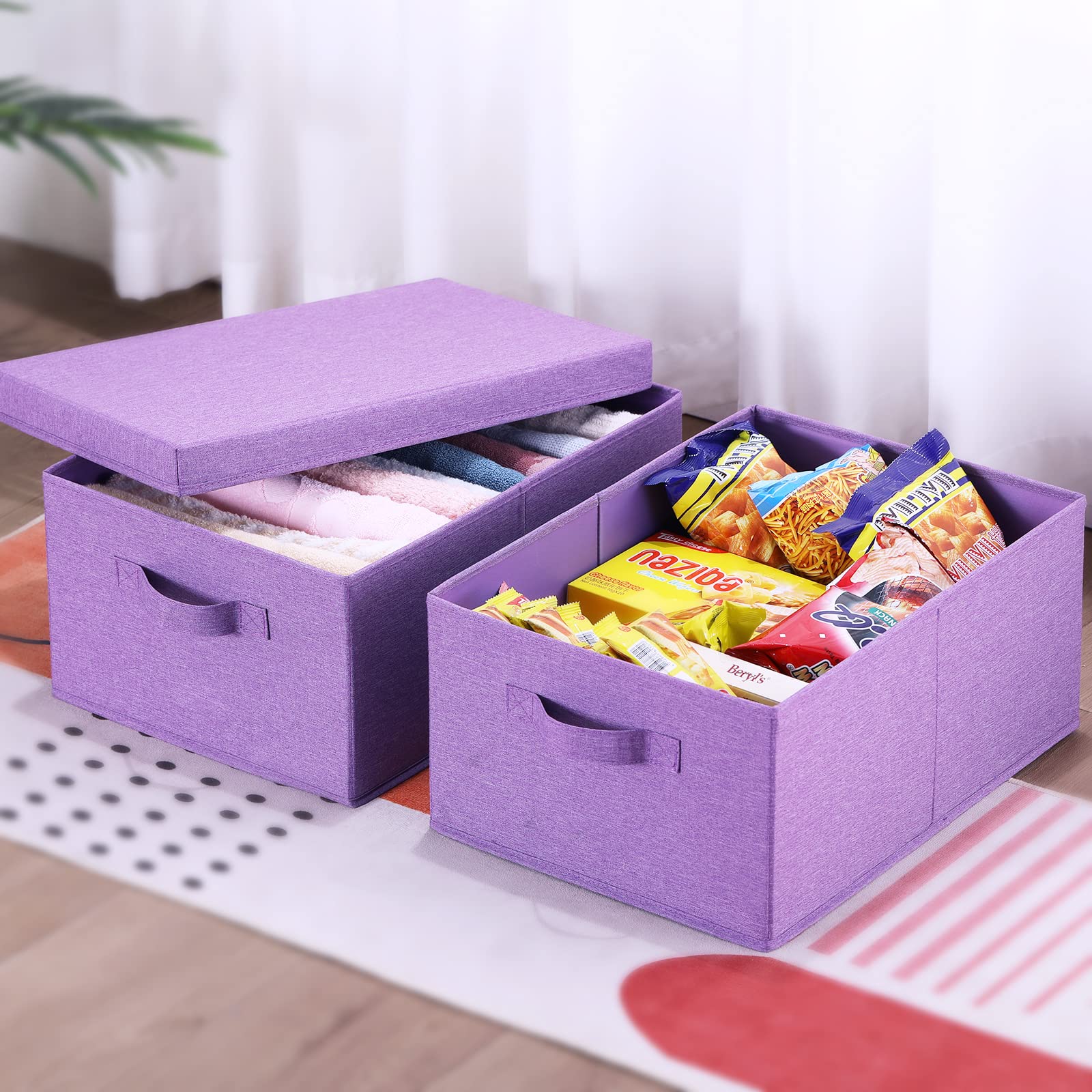Foldable Storage Bins with Lids (2 Count)