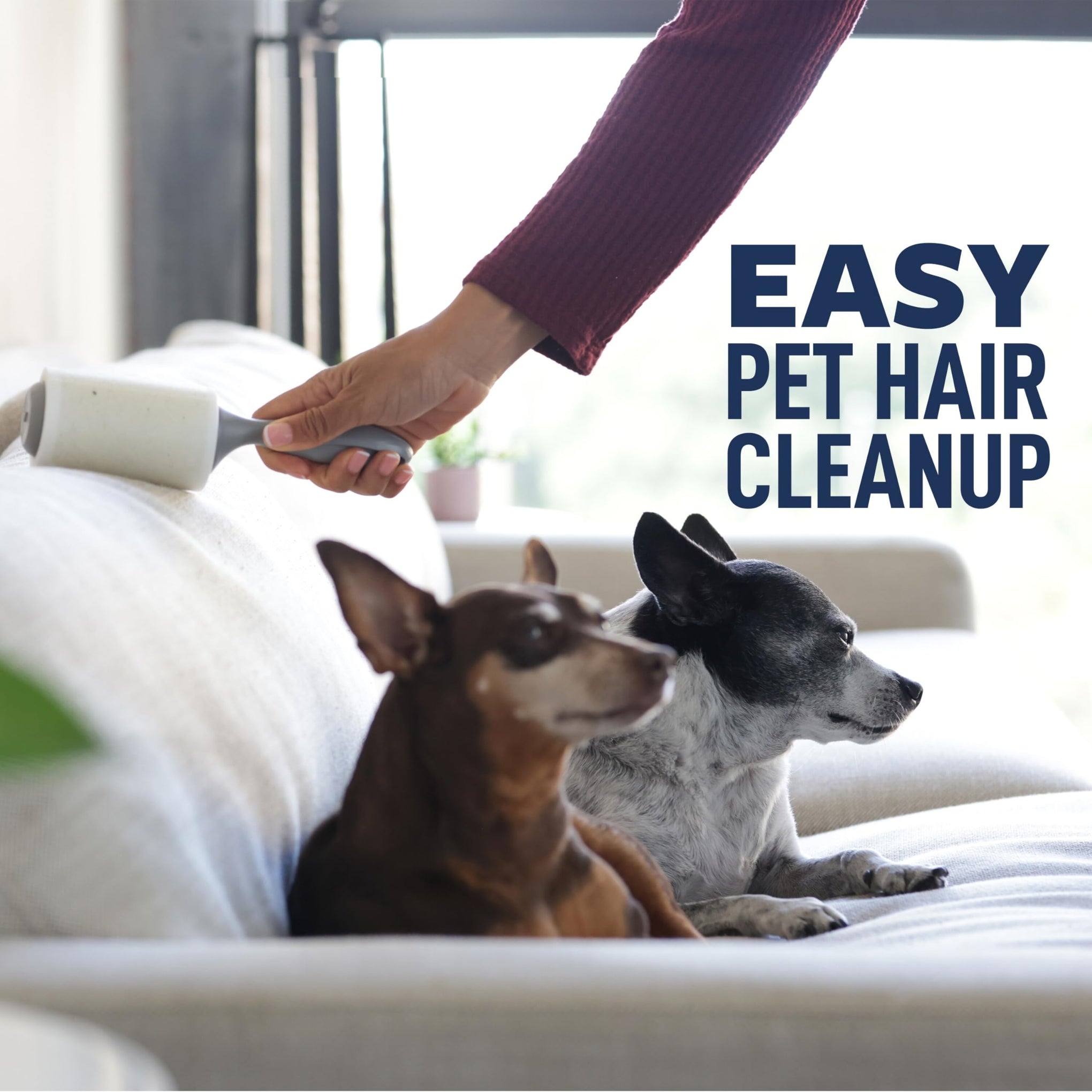 Everyday Clean Lint Roller (950 Count)