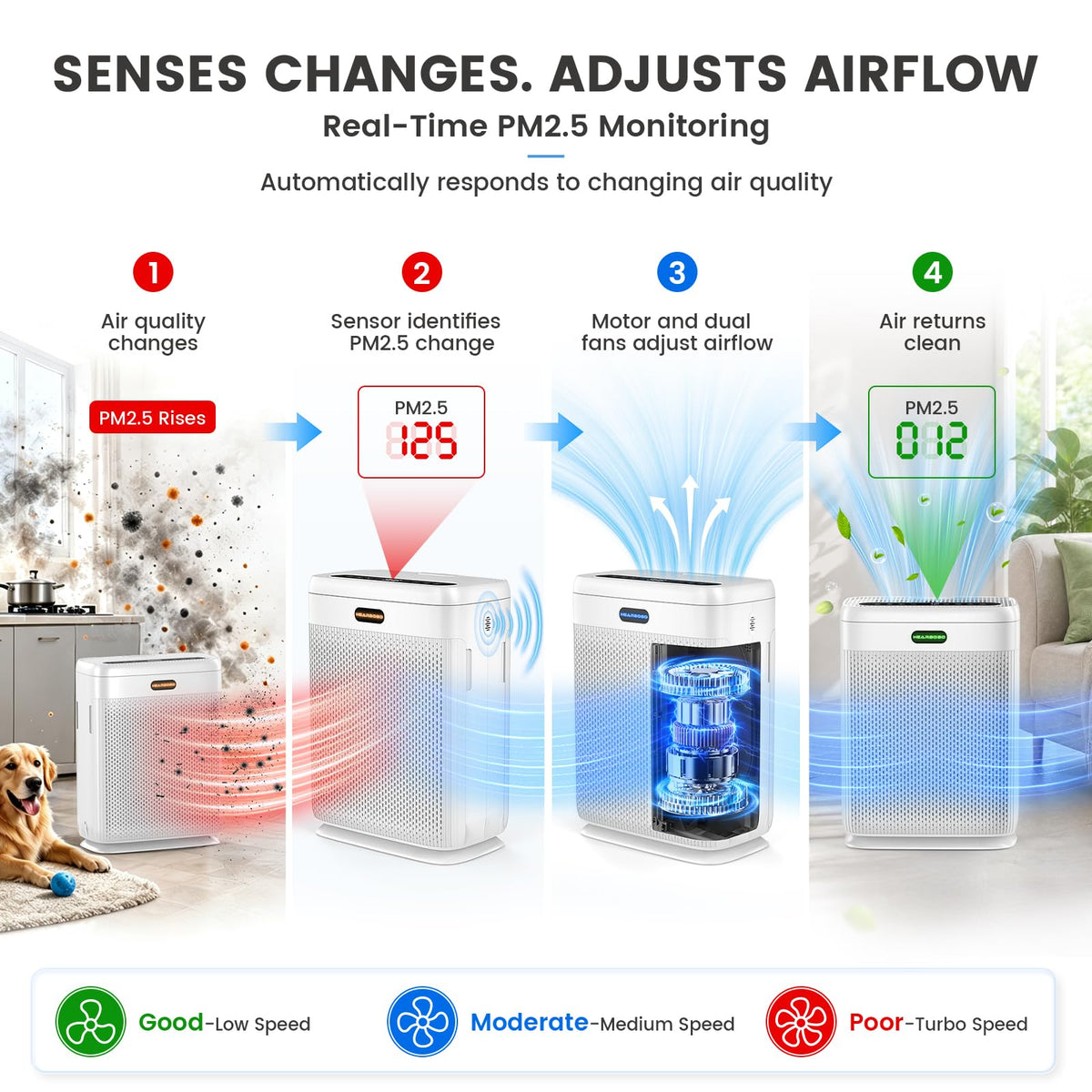 Air Purifiers for Home Large Room Up to 3000 sq ft