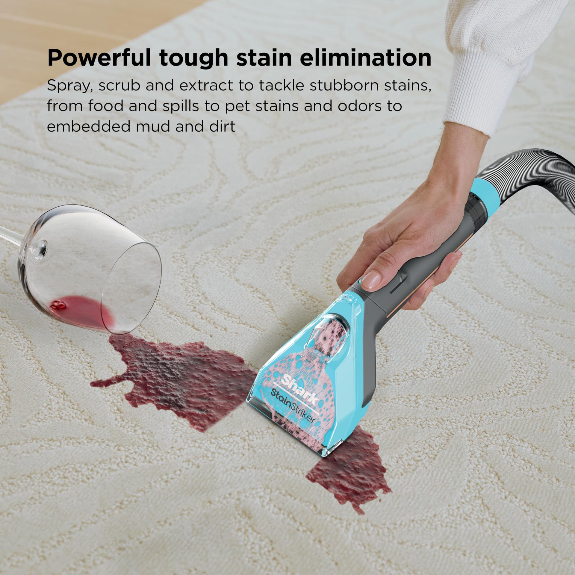 StainStriker HairPro Portable Stain Cleaner