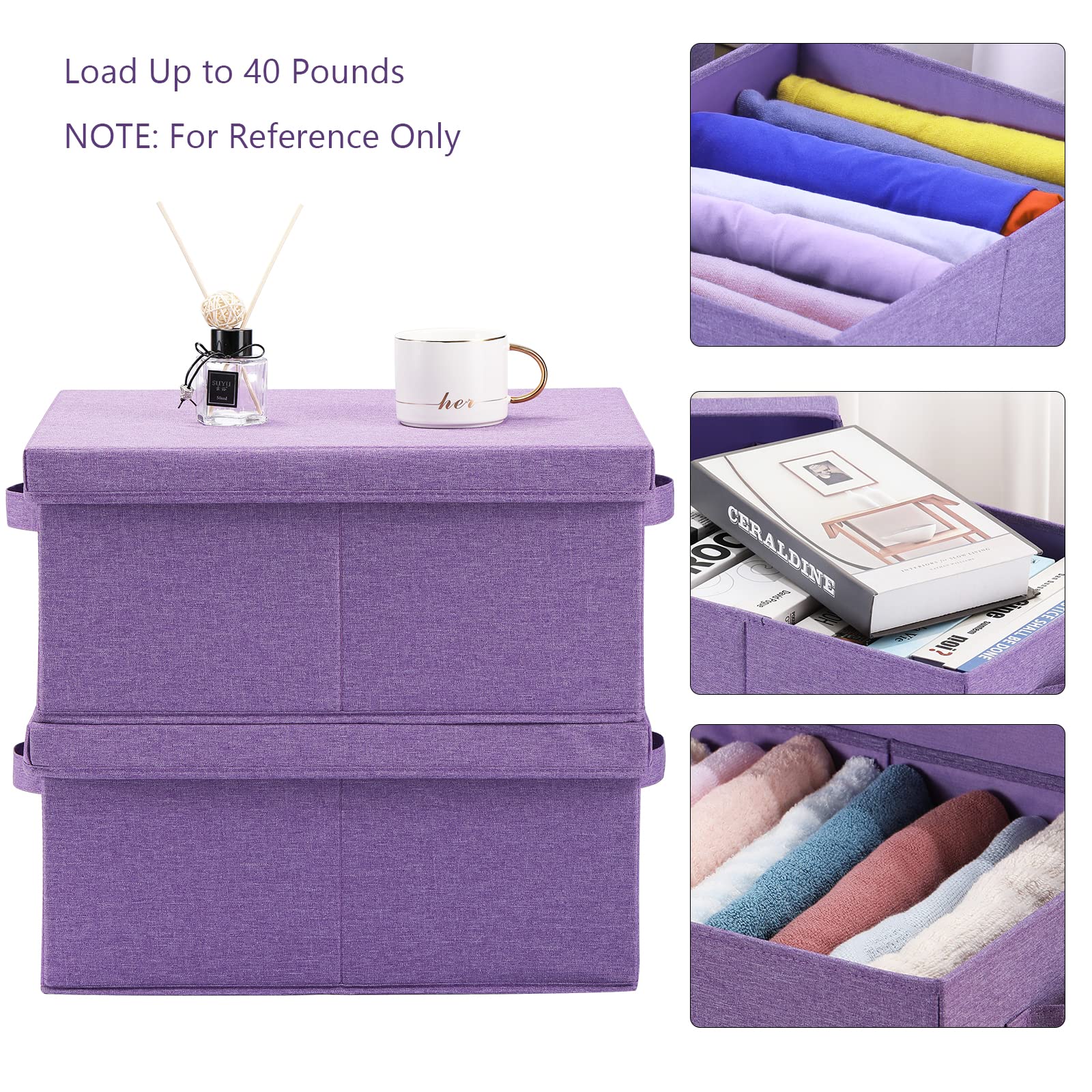 Foldable Storage Bins with Lids (2 Count)