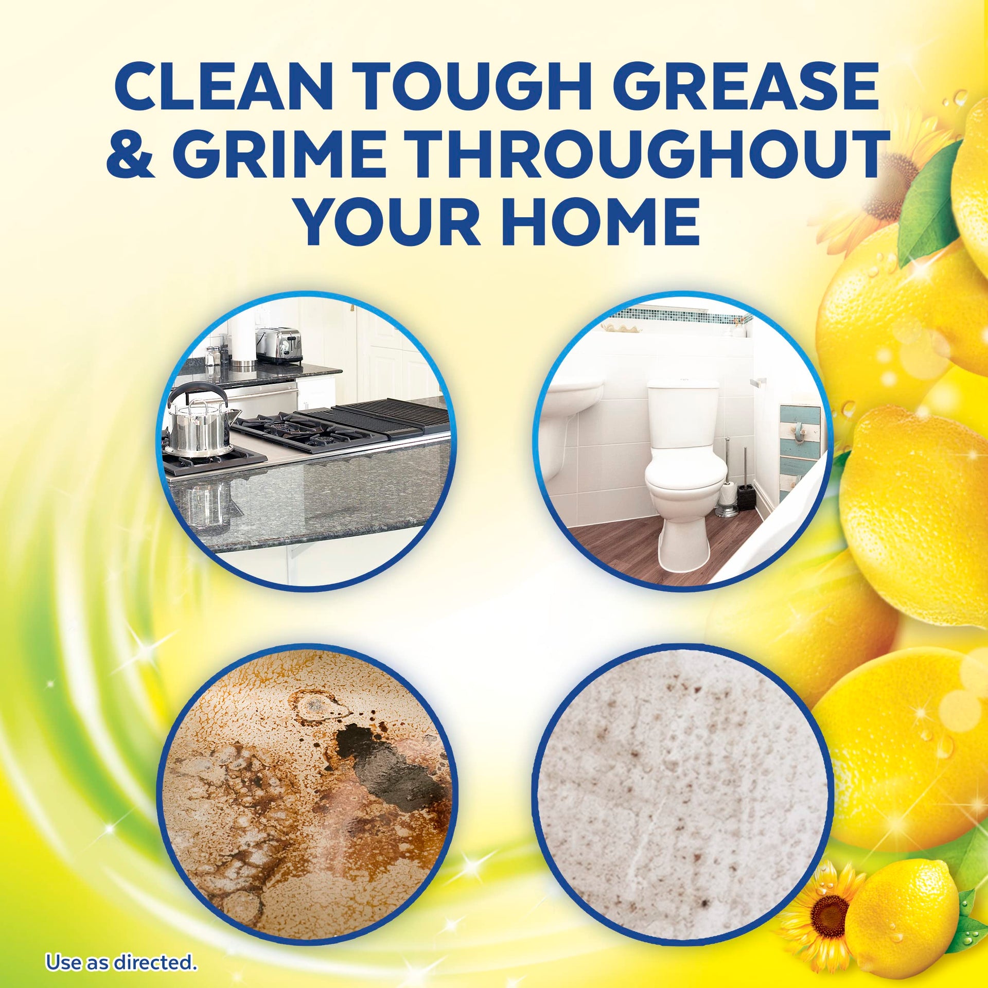 Pro All Purpose Cleaner (384 Fl Oz) - ModHome Supplies