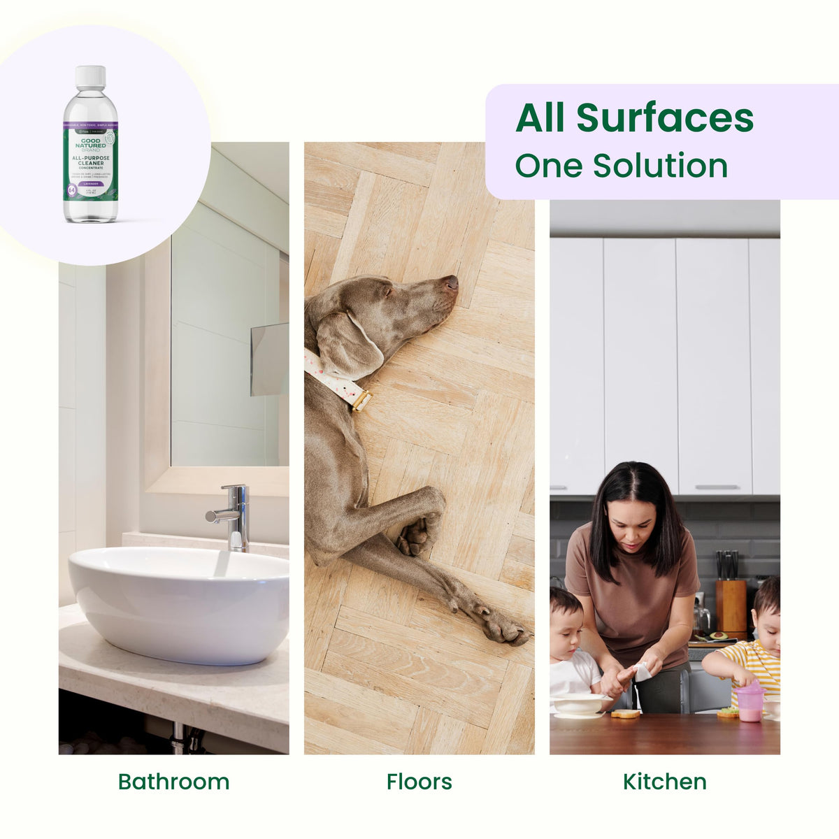 All Purpose Cleaner Concentrate + 16 oz Bottle (64 Fl Oz)