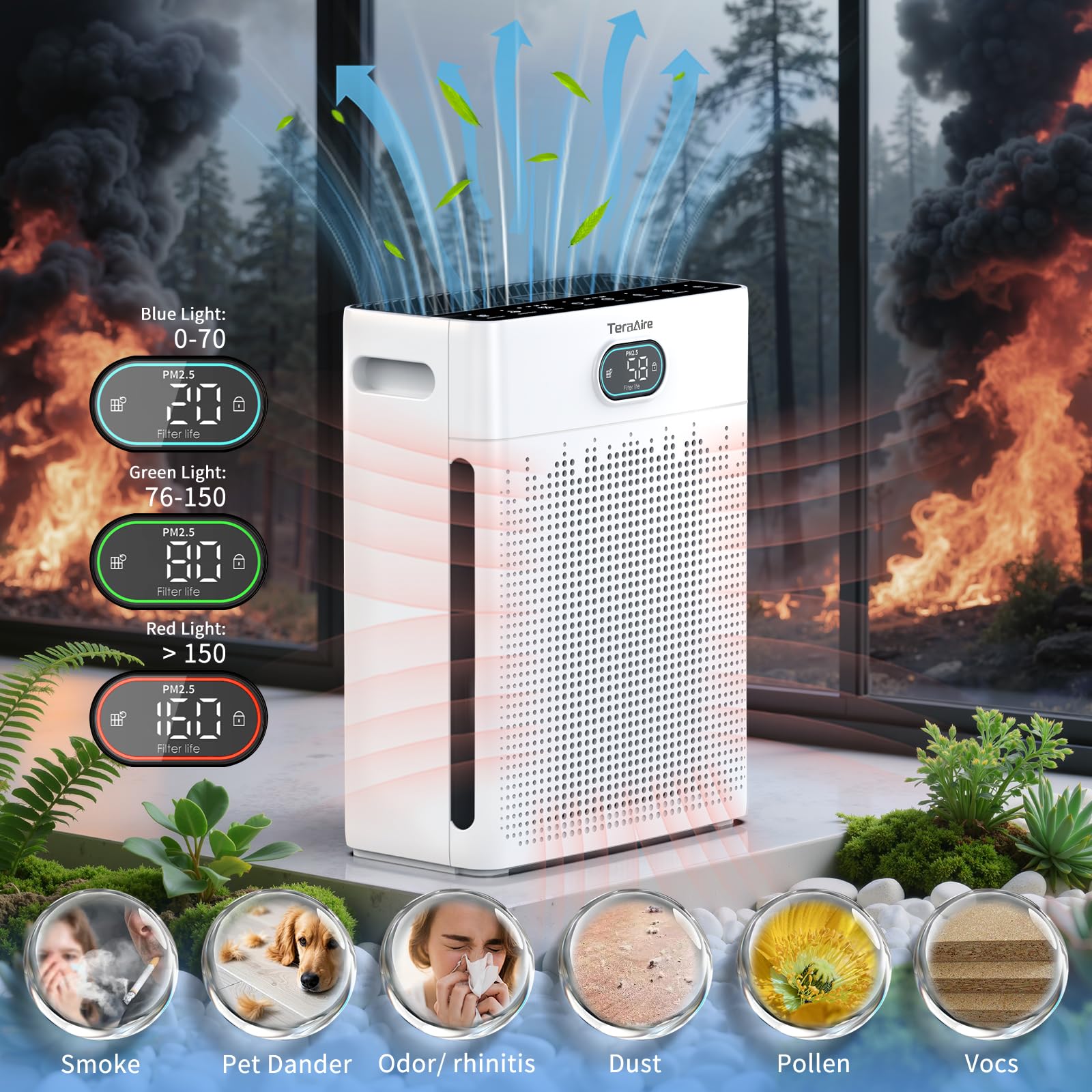 Air Purifiers for Home