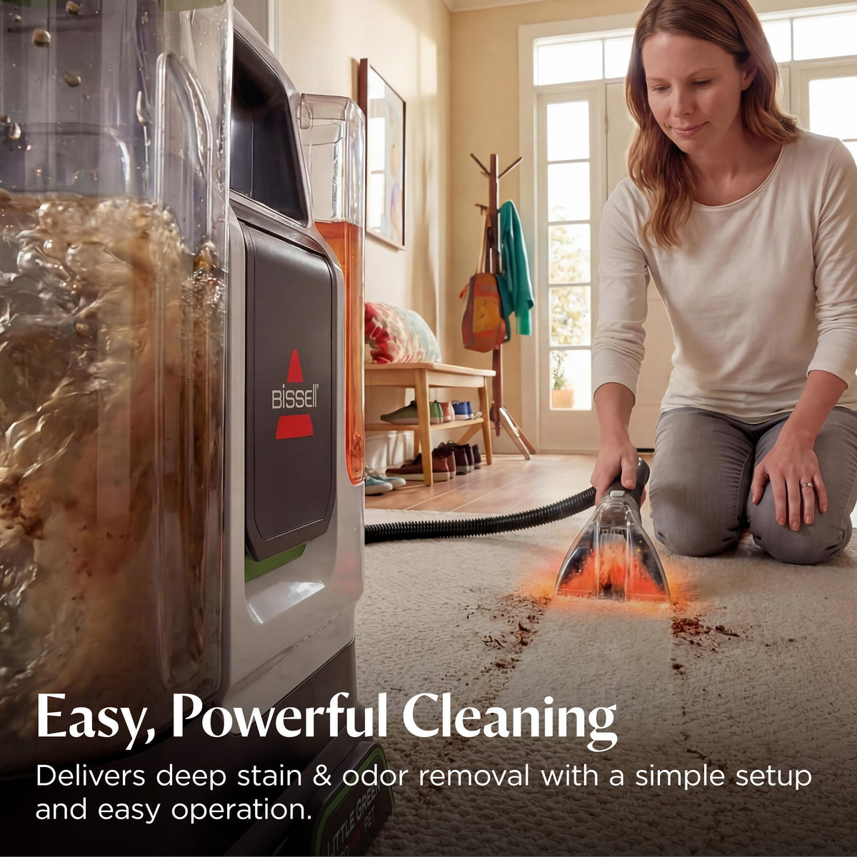Little Green ProHeat Pet Portable Deep Cleaner