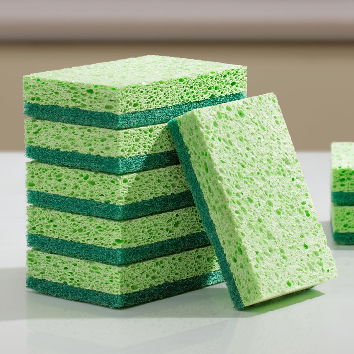 Clean Sponges (6 Count)