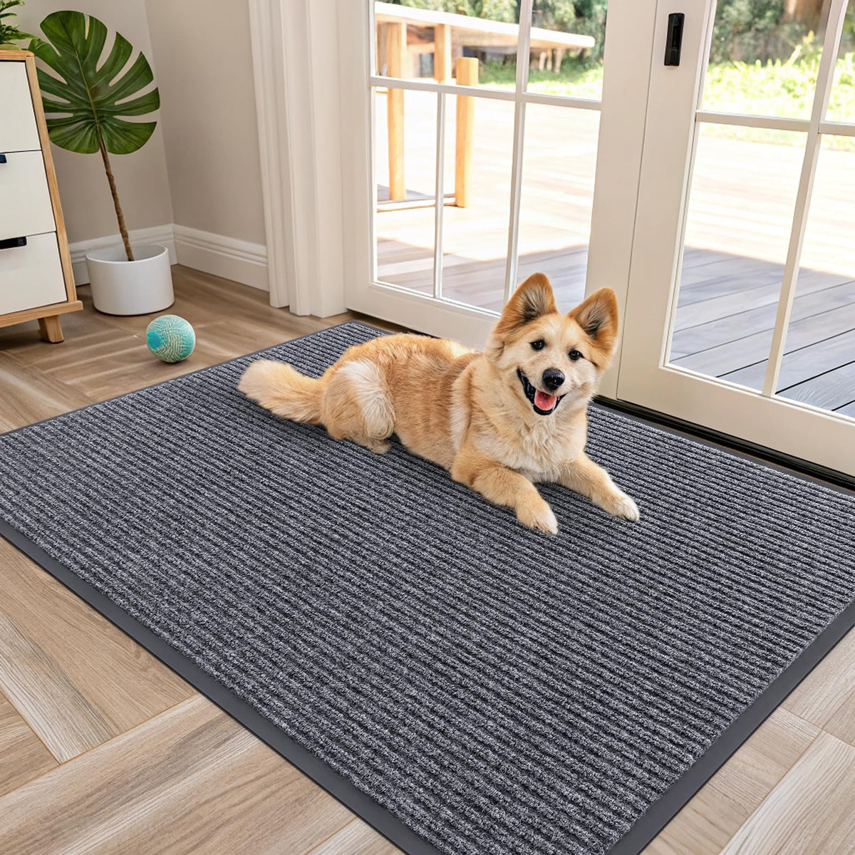 Front Door Mat 47x30