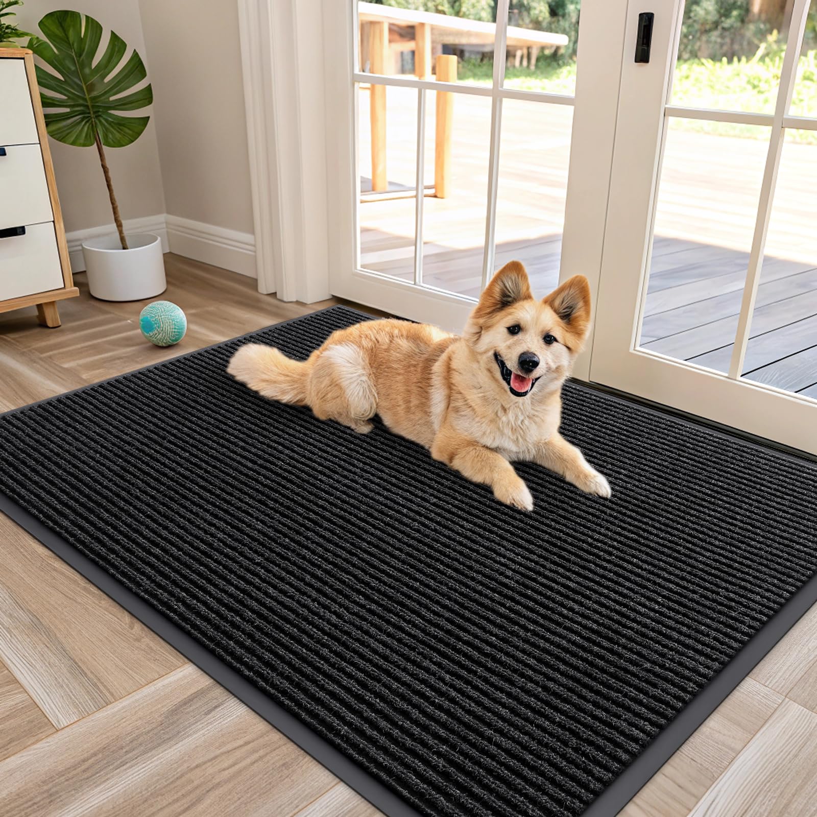 Front Door Mat 47x30