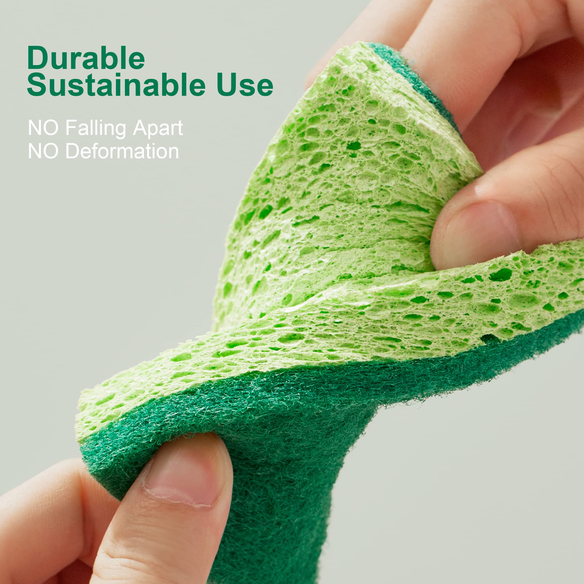 Clean Sponges (6 Count)