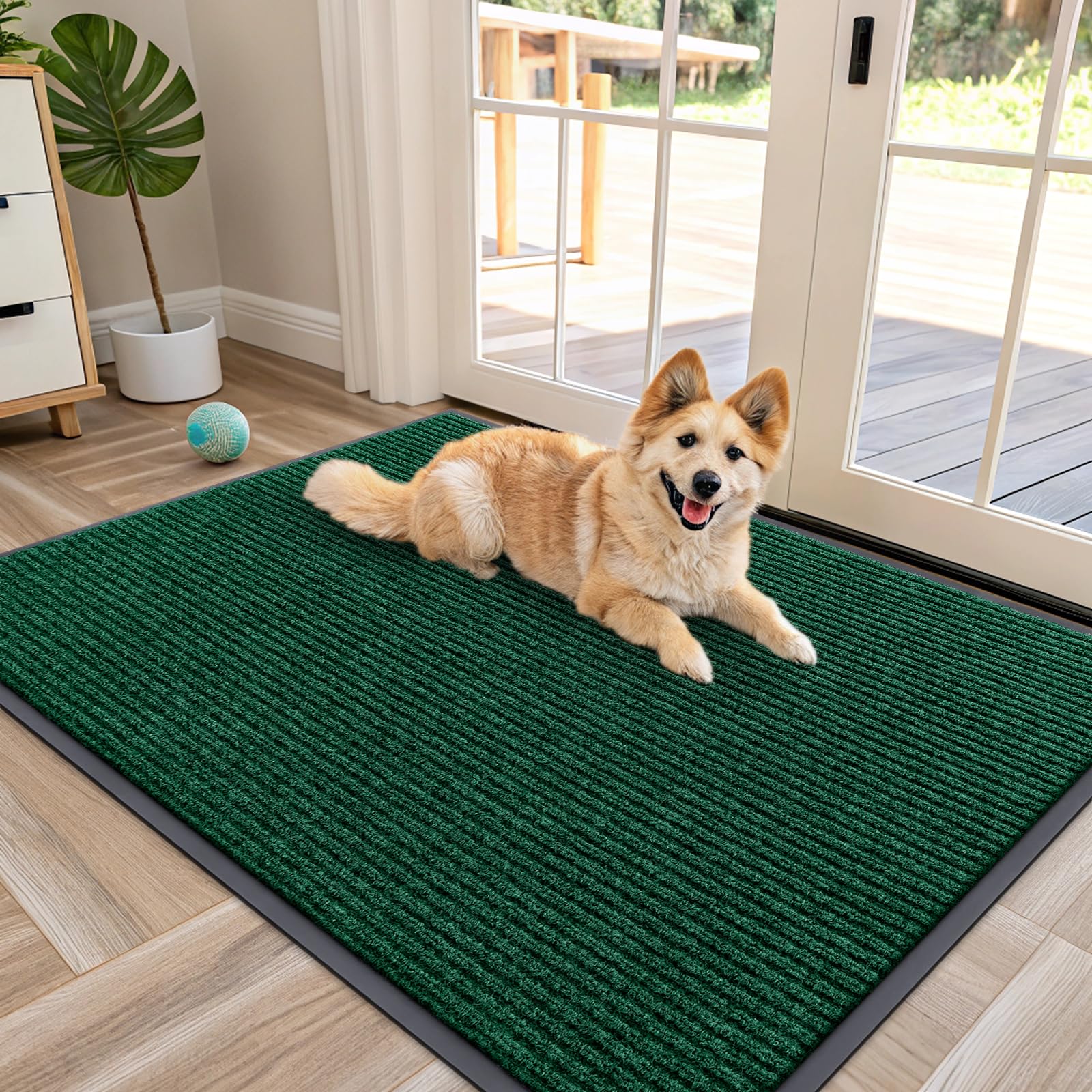 Front Door Mat 47x34