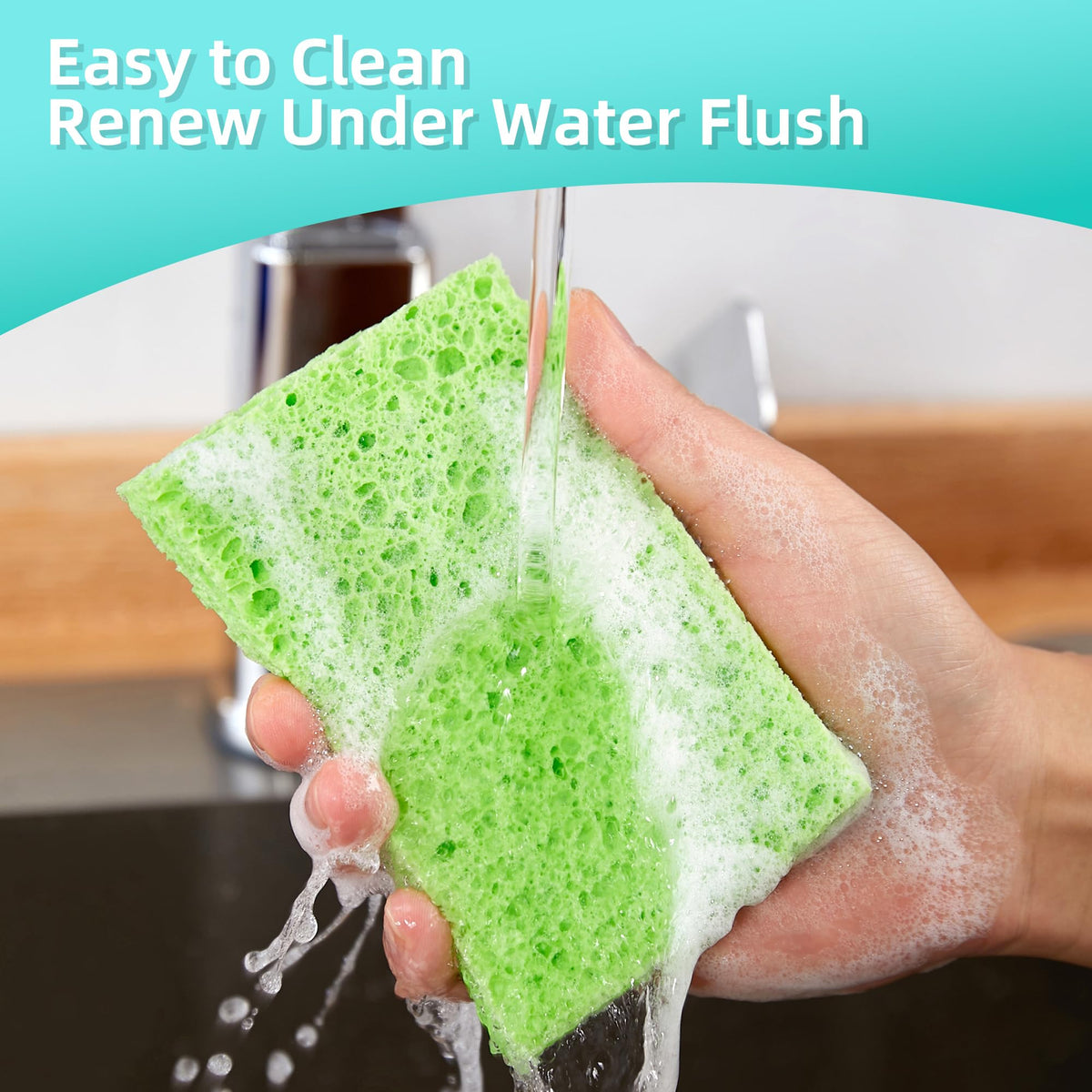 Dish Sponge Scrubber (36 Count)