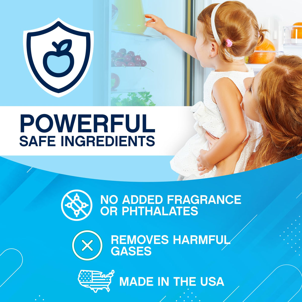 Refrigerator Deodorizer