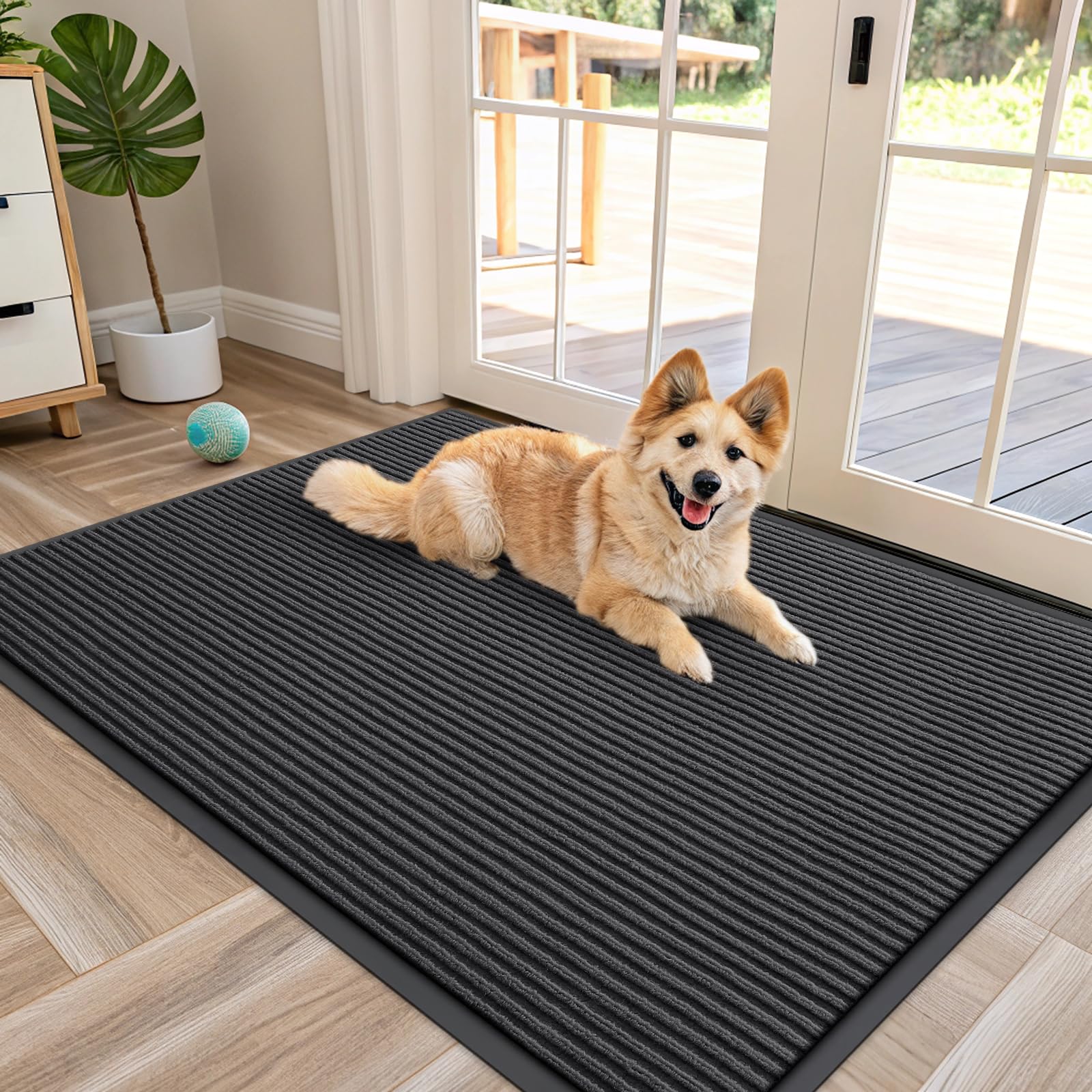Front Door Mat 47x30