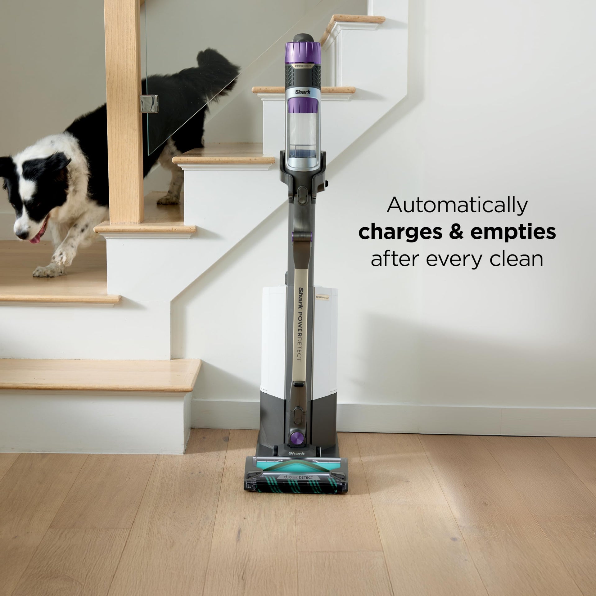 PowerDetect Clean & Empty Cordless Stick Vacuum