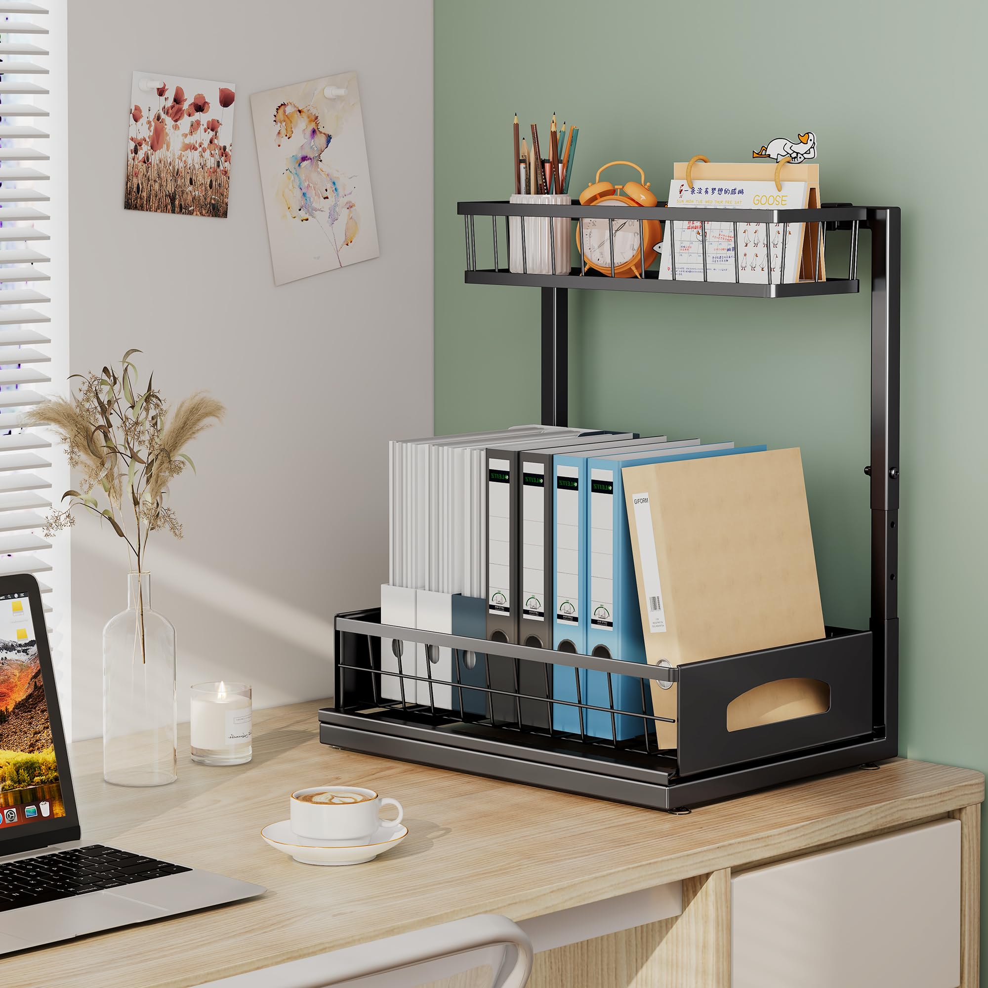 Under Sink Organizer