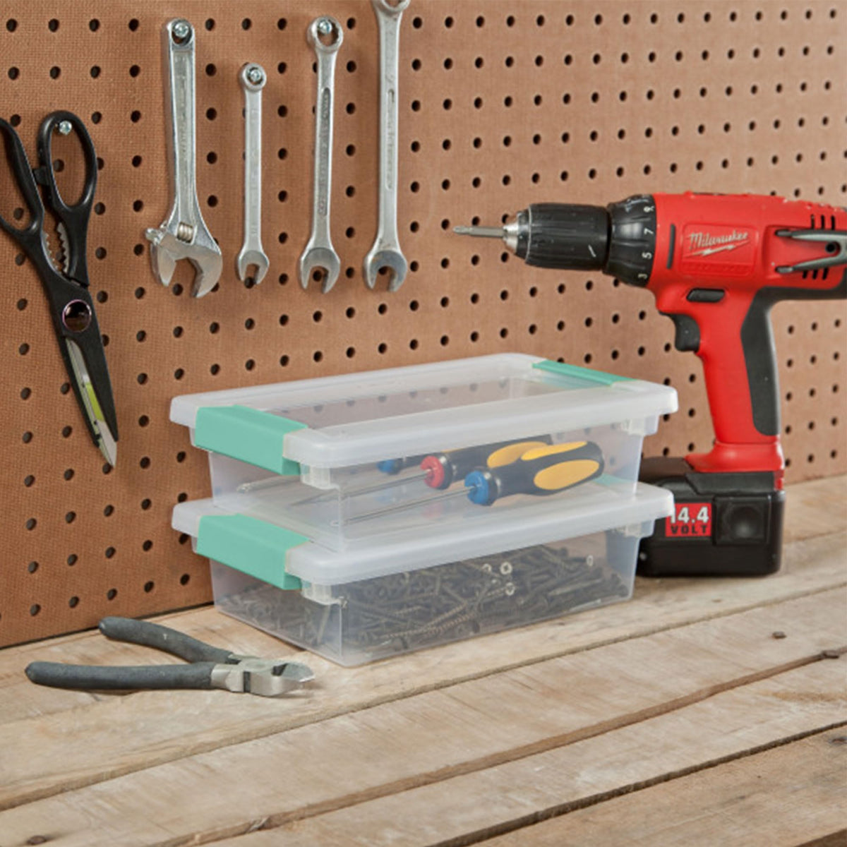 Small Clip Box (6 Count)