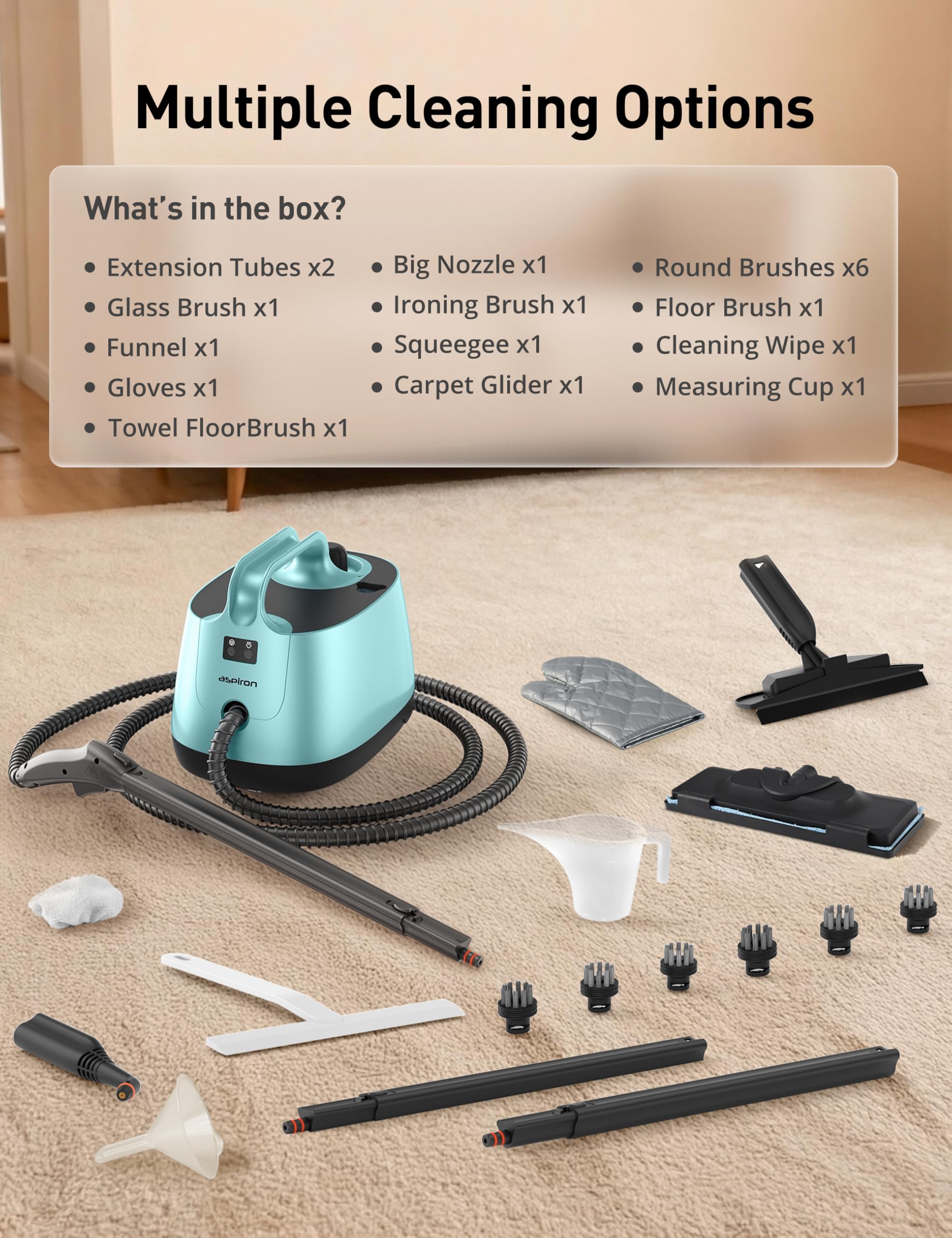 Steam Cleaner