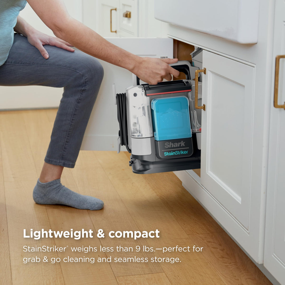 StainStriker Portable Carpet