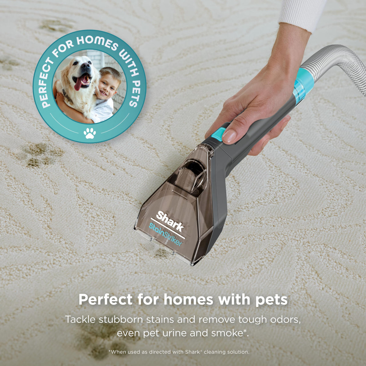 StainStriker Portable Spot & Stain Cleaner