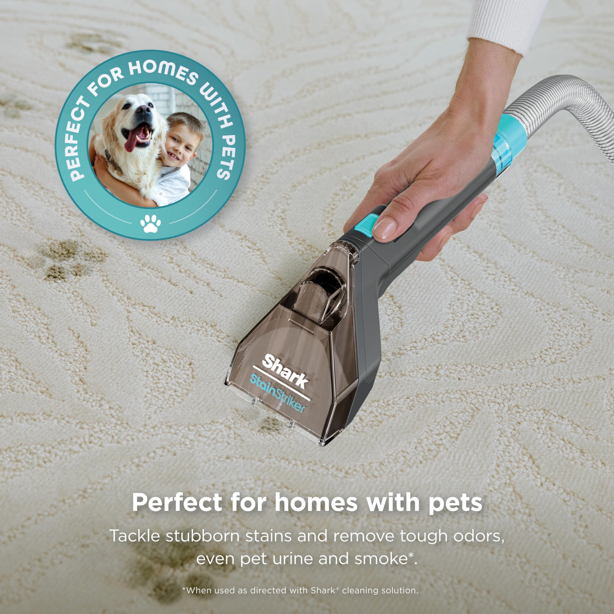 StainStriker Portable Spot & Stain Cleaner