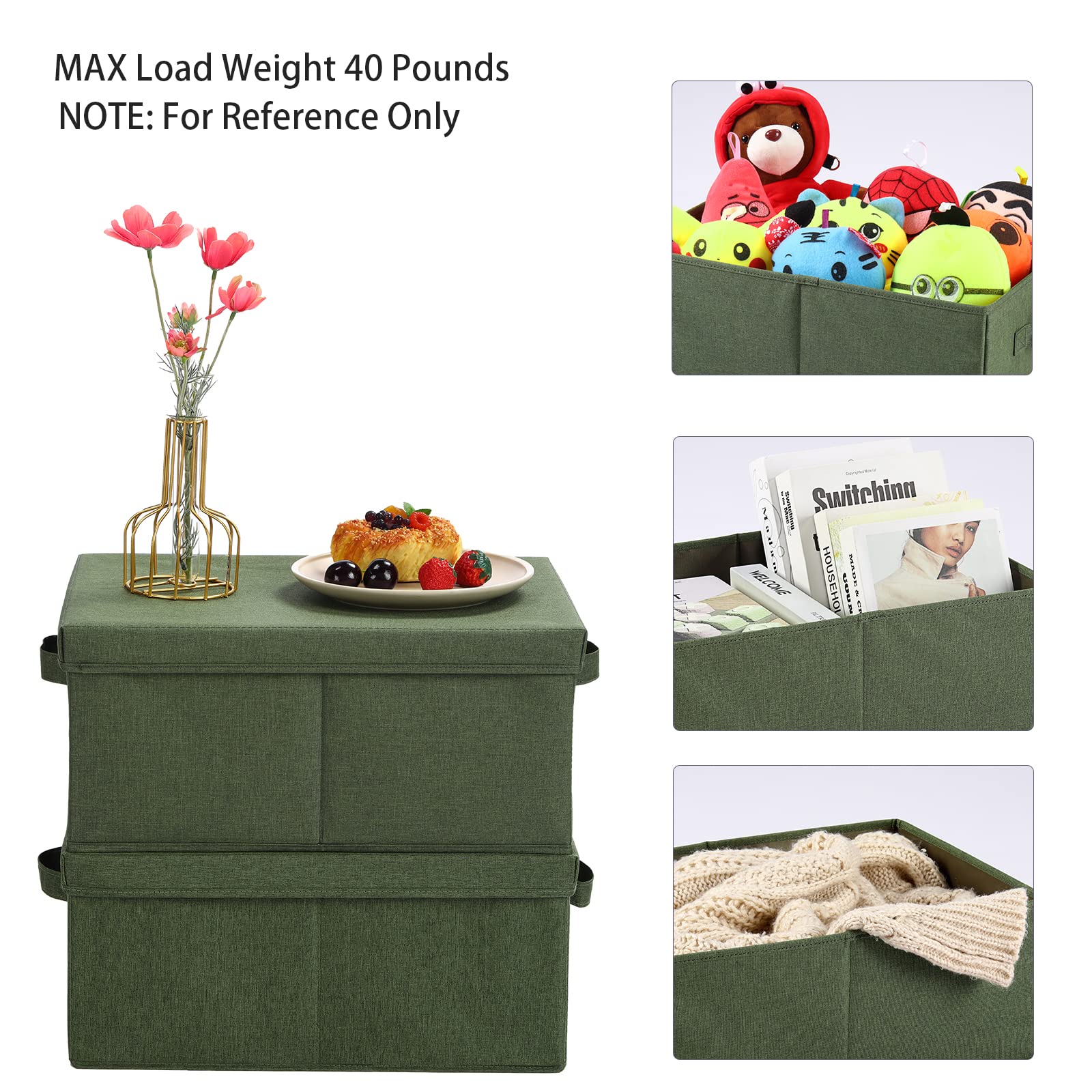 Storage Bins with Lids for Organizing (2 Count)