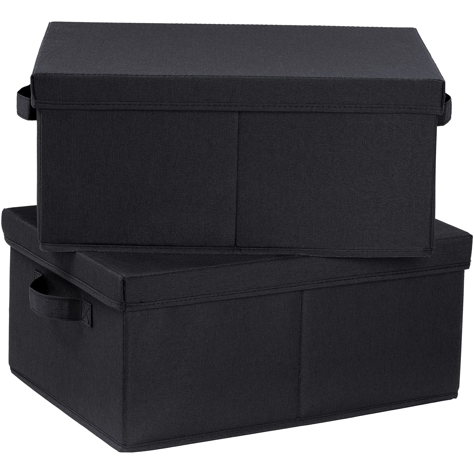 Storage Bins with Lids for Organizing (2 Count)