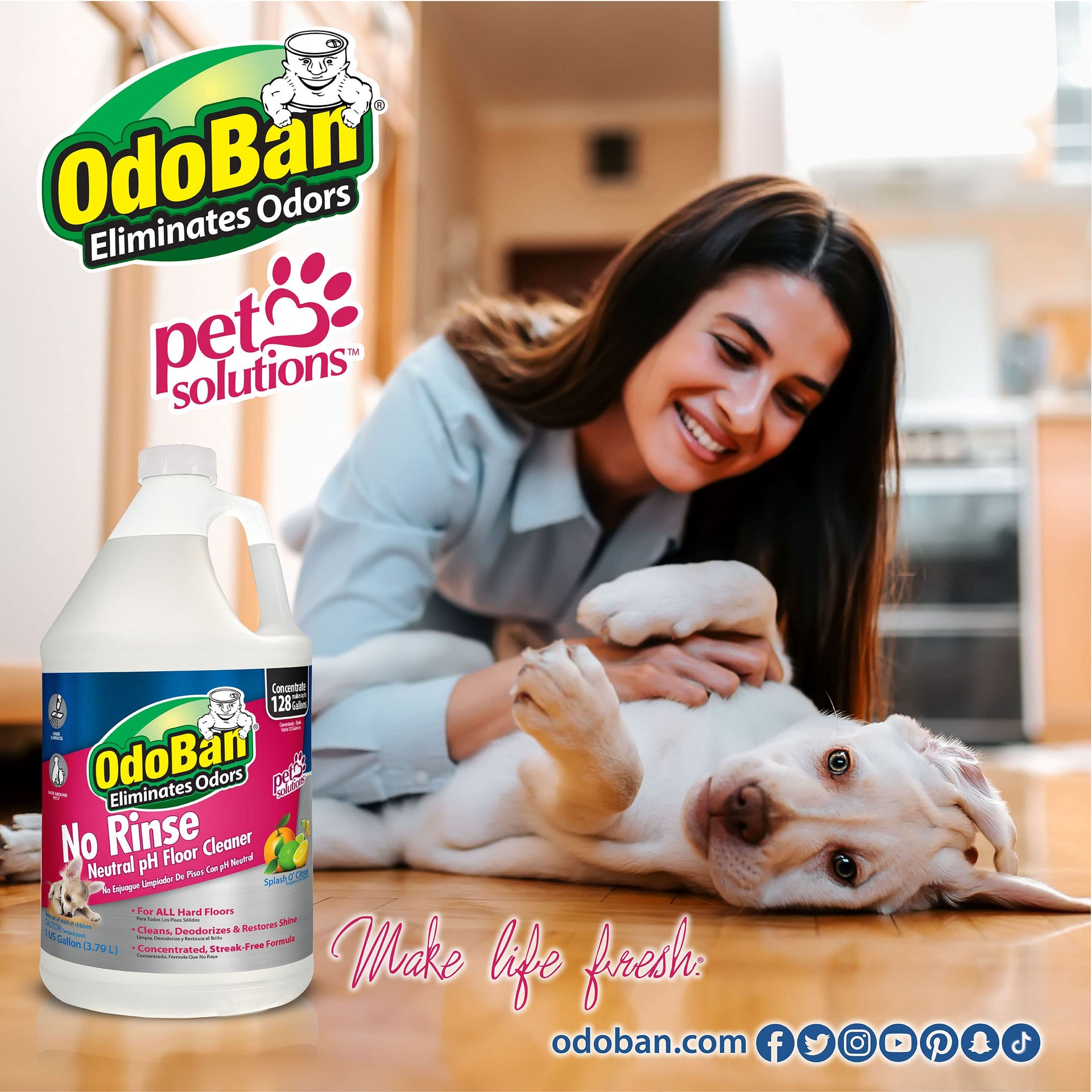Pet Solutions No Rinse Neutral pH Floor Cleaner Concentrate (4 Count)