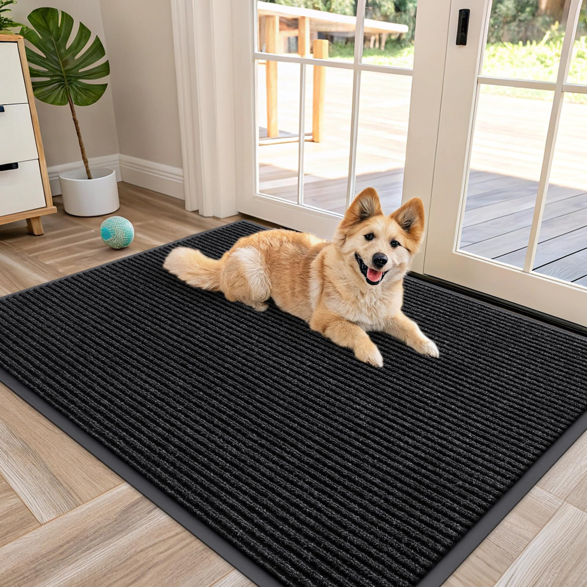 Front Door Mat 47x34