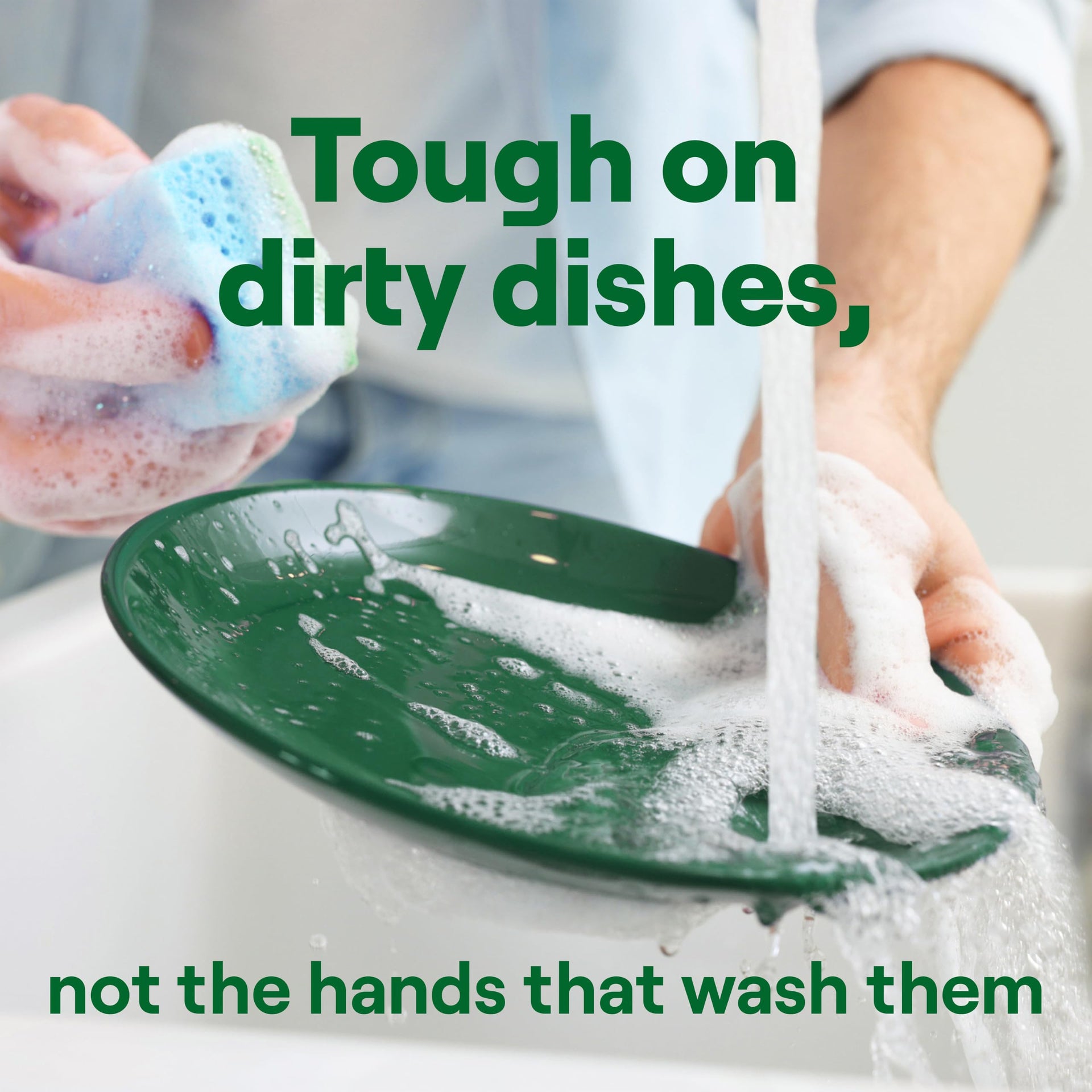 Dish Soap Fresh Lime & Ginger Scent 1 count Dishwashing Soap Dish Detergent Liquid Soap 19 oz (19 Fl Oz)