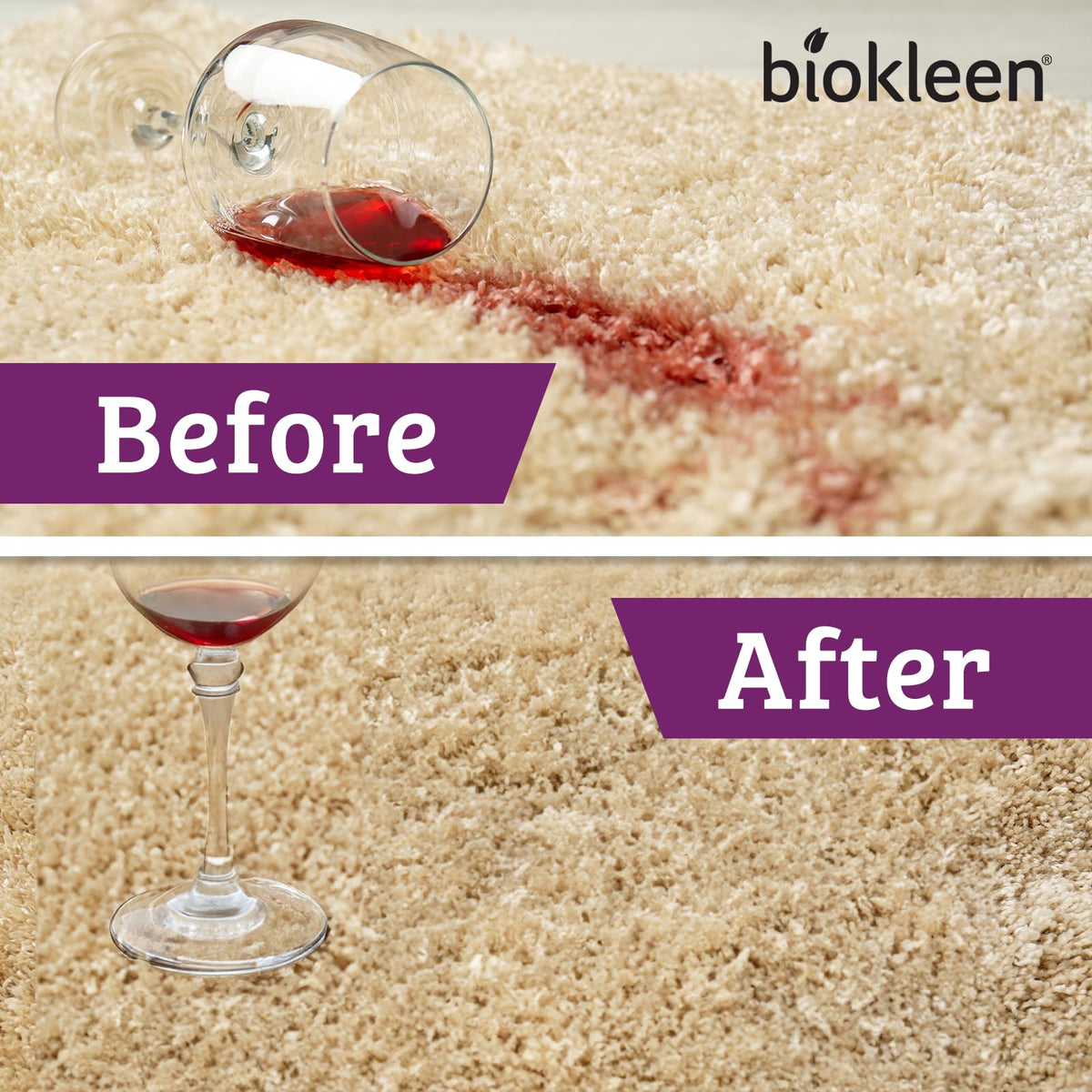 Bac Out Stain Remover for Carpet (160 Fl Oz)