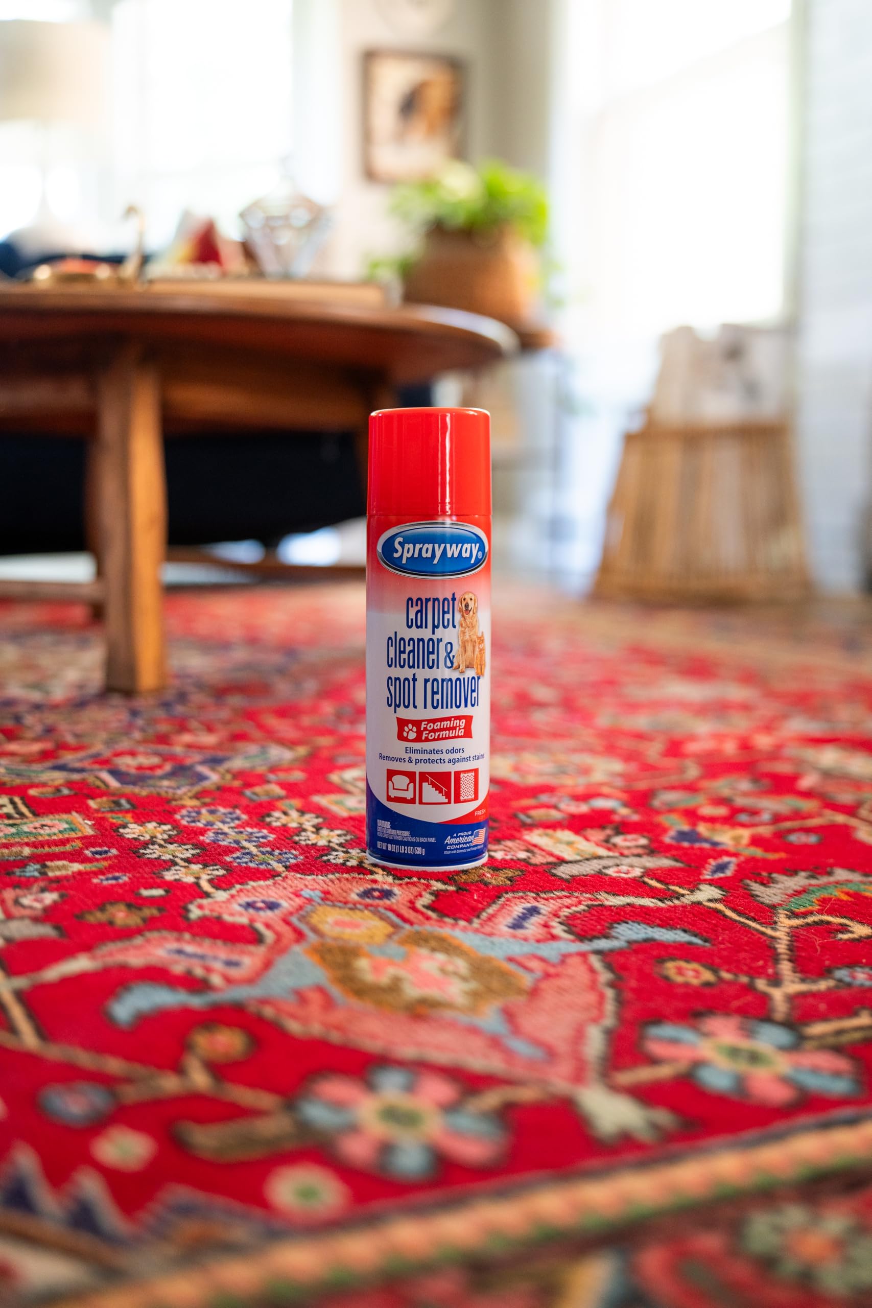 Carpet Cleaner (19 Ounce) - ModHome Supplies