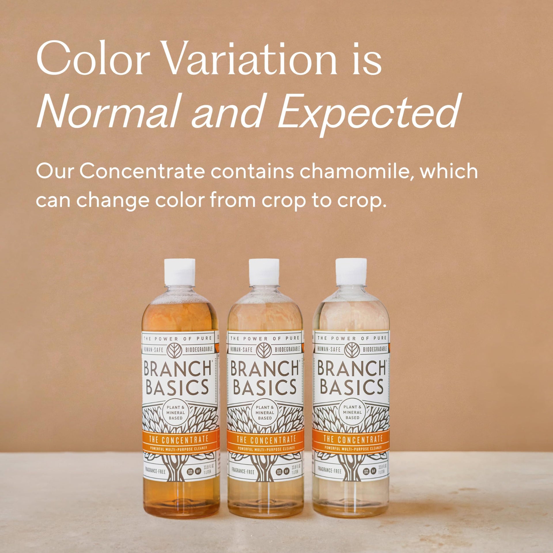 Concentrate 33.8 oz (33.8 Fl Oz)