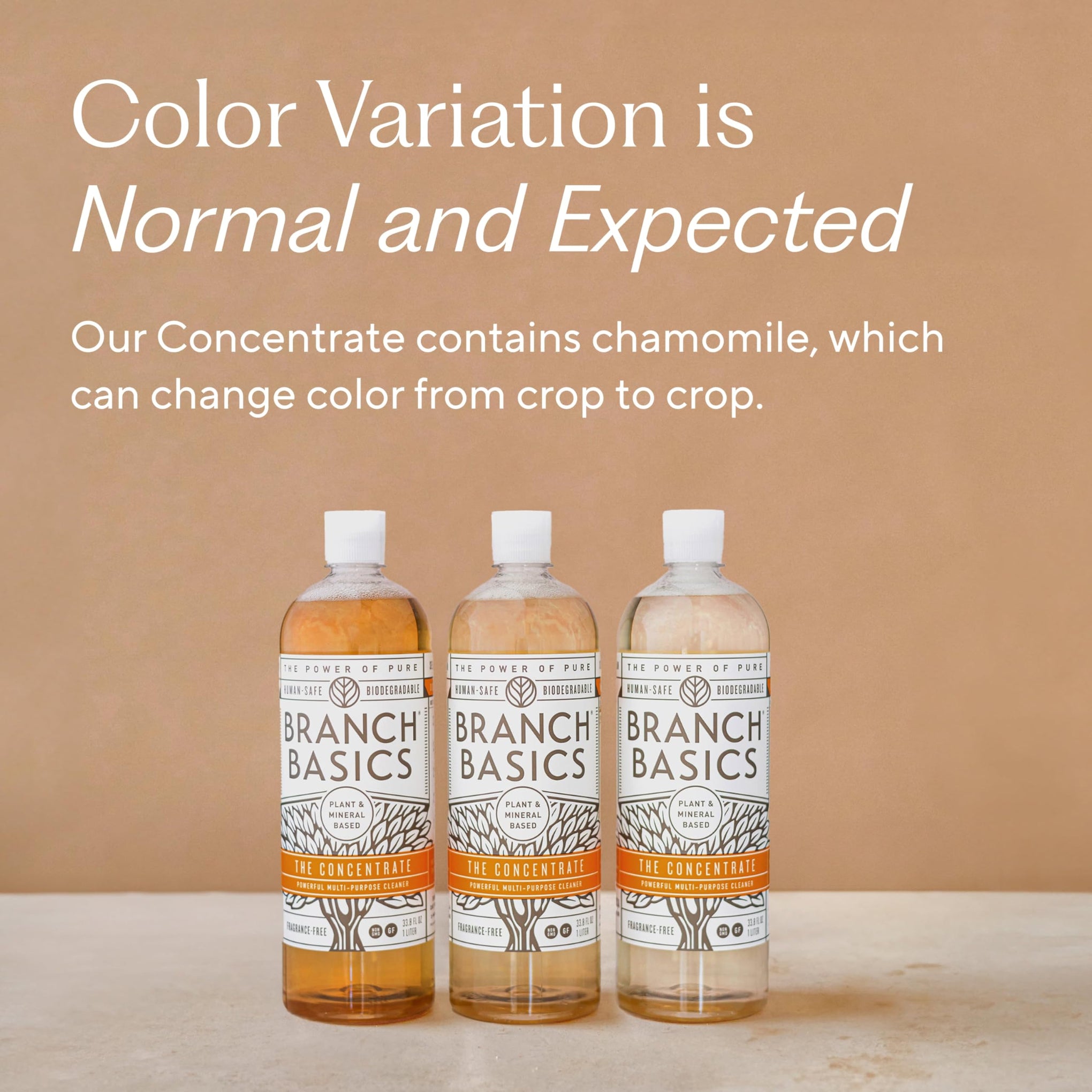 Concentrate 33.8 oz (33.8 Fl Oz)