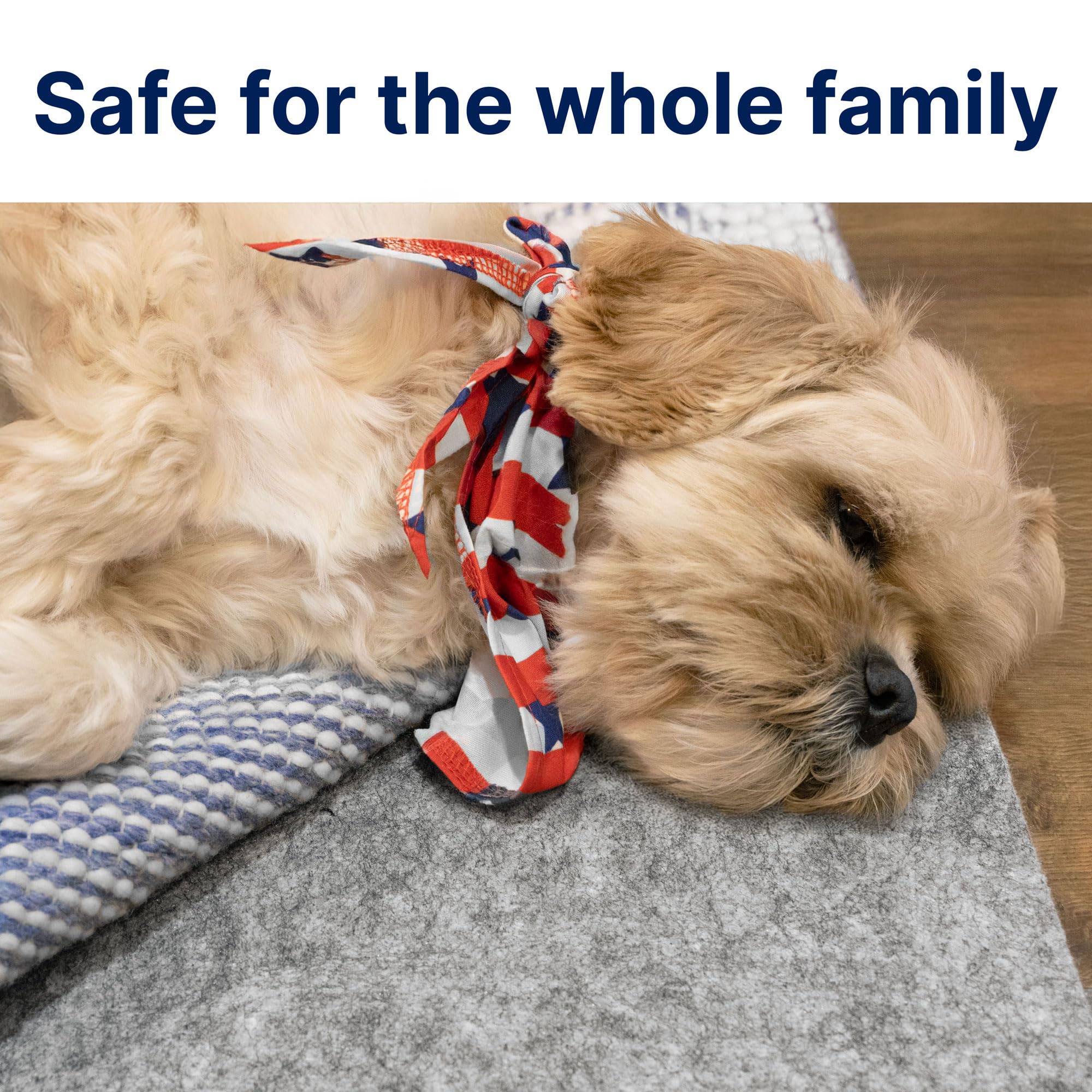 Dual Surface 9'10" x 12'10"