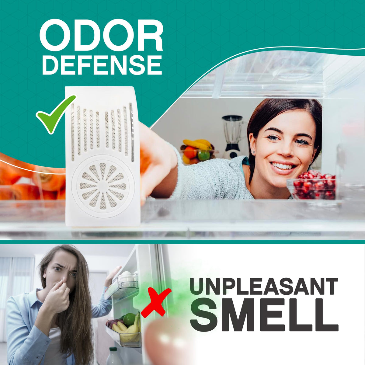 Refrigerator Deodorizer with Zeolites
