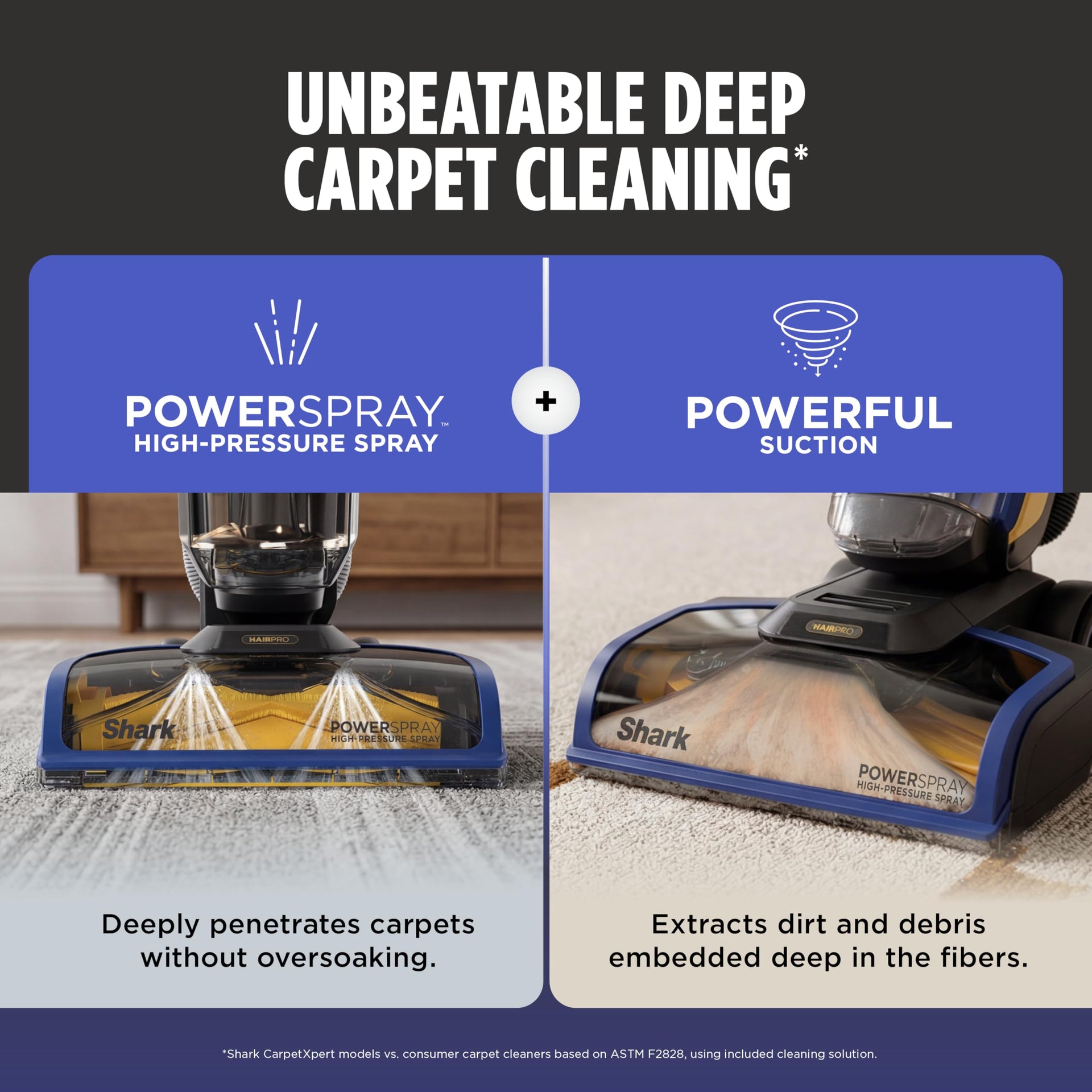 CarpetXpert HairPro Carpet & Built