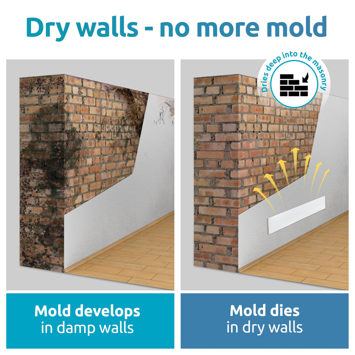 Mold killer Black mold remover for walls without chemicals